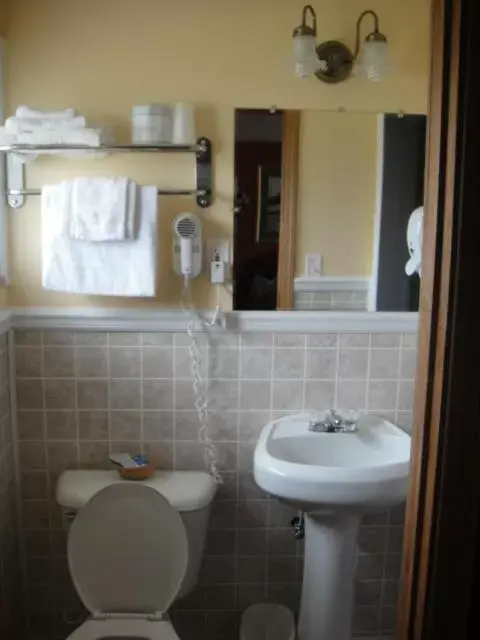 Bathroom in Standish Motel