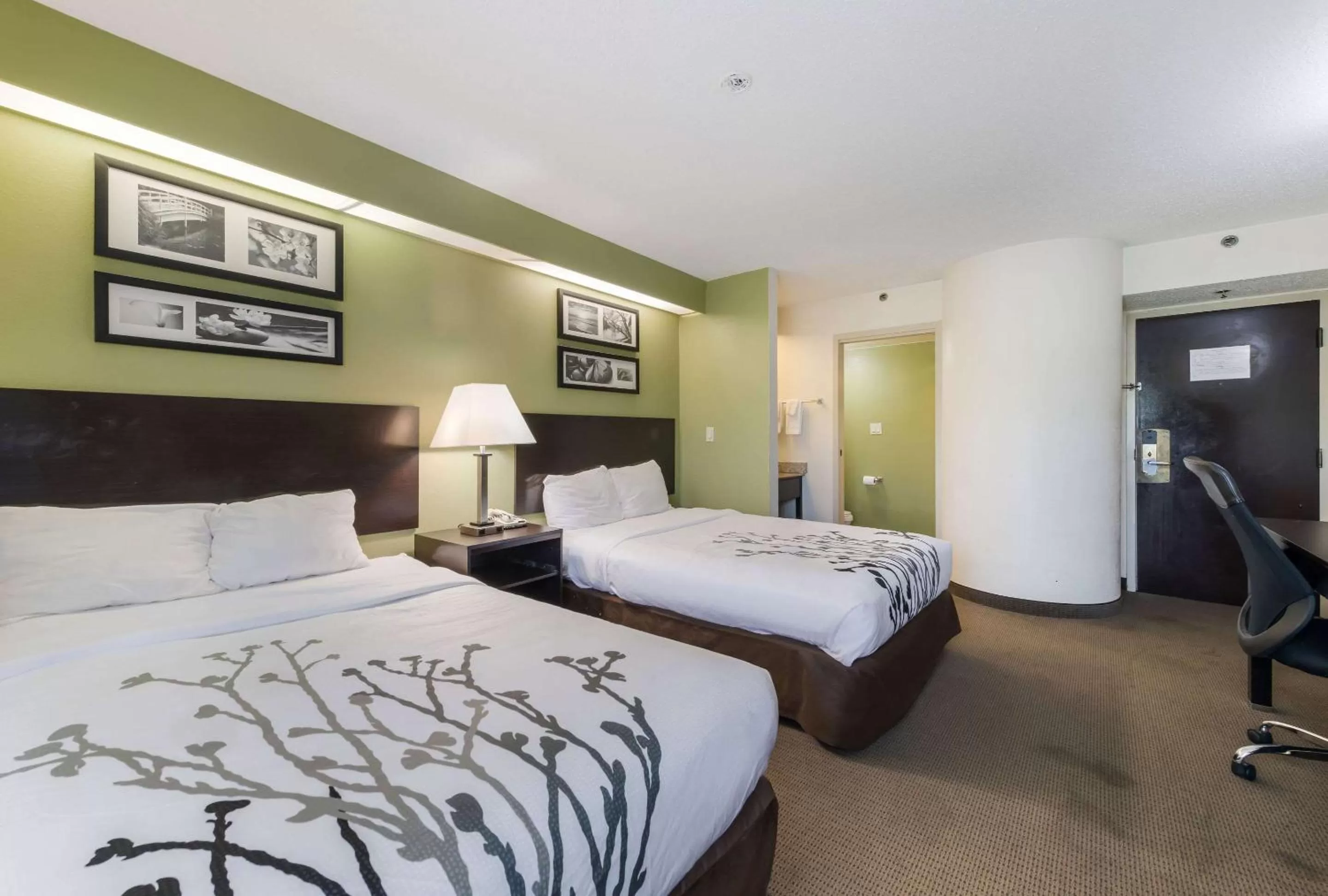 Photo of the whole room, Bed in Rodeway Inn