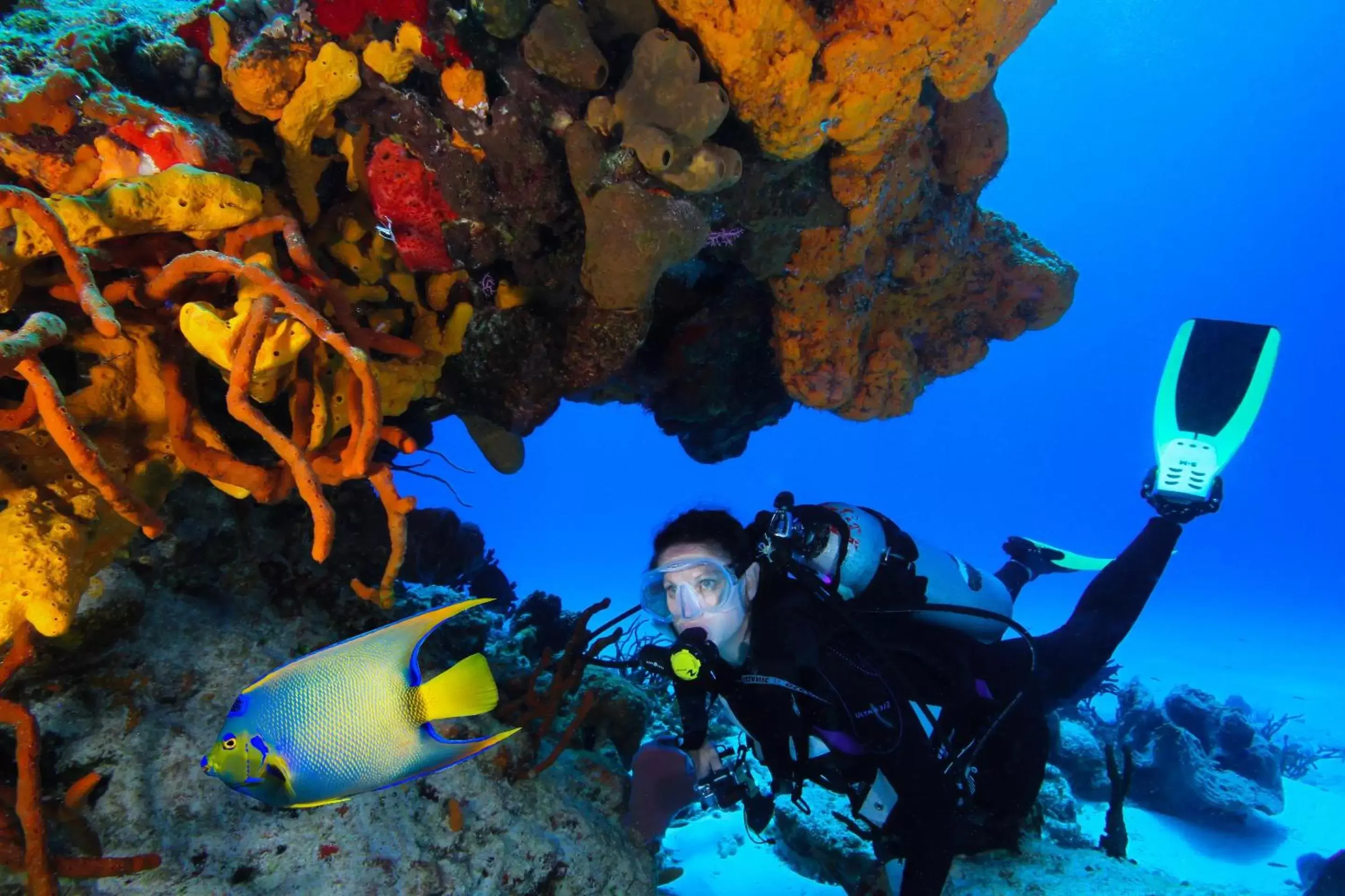 Diving in Cozumel Palace-All Inclusive