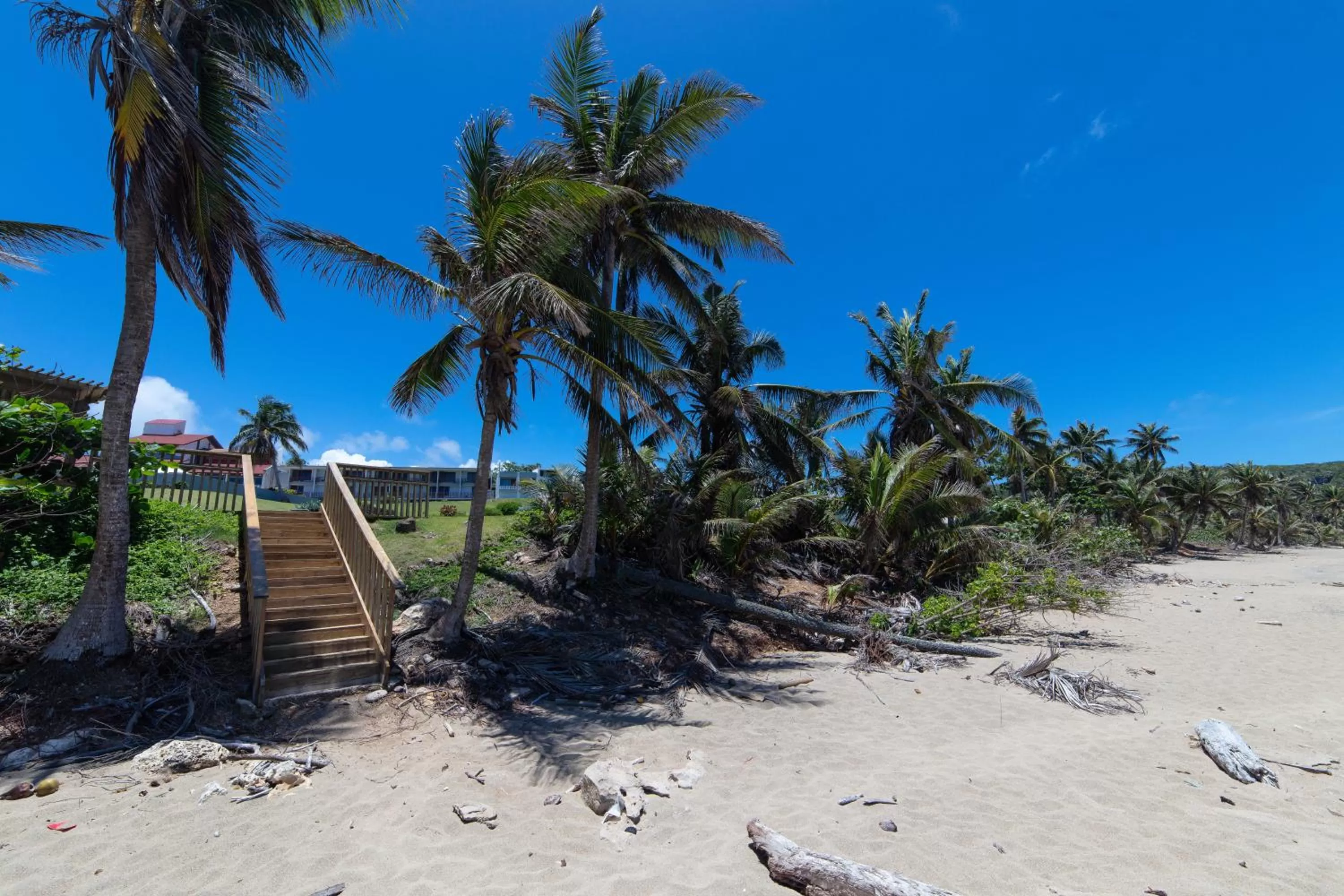 Natural landscape in Hotel El Guajataca