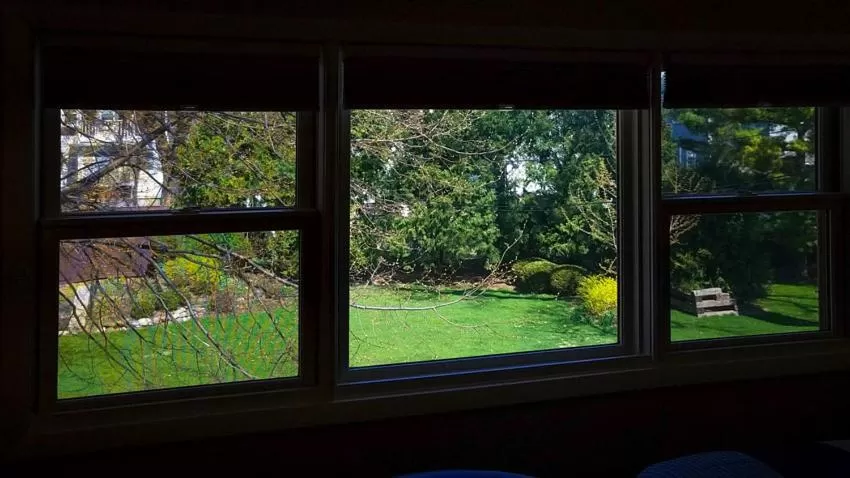 Garden view in HA Whitney Inn