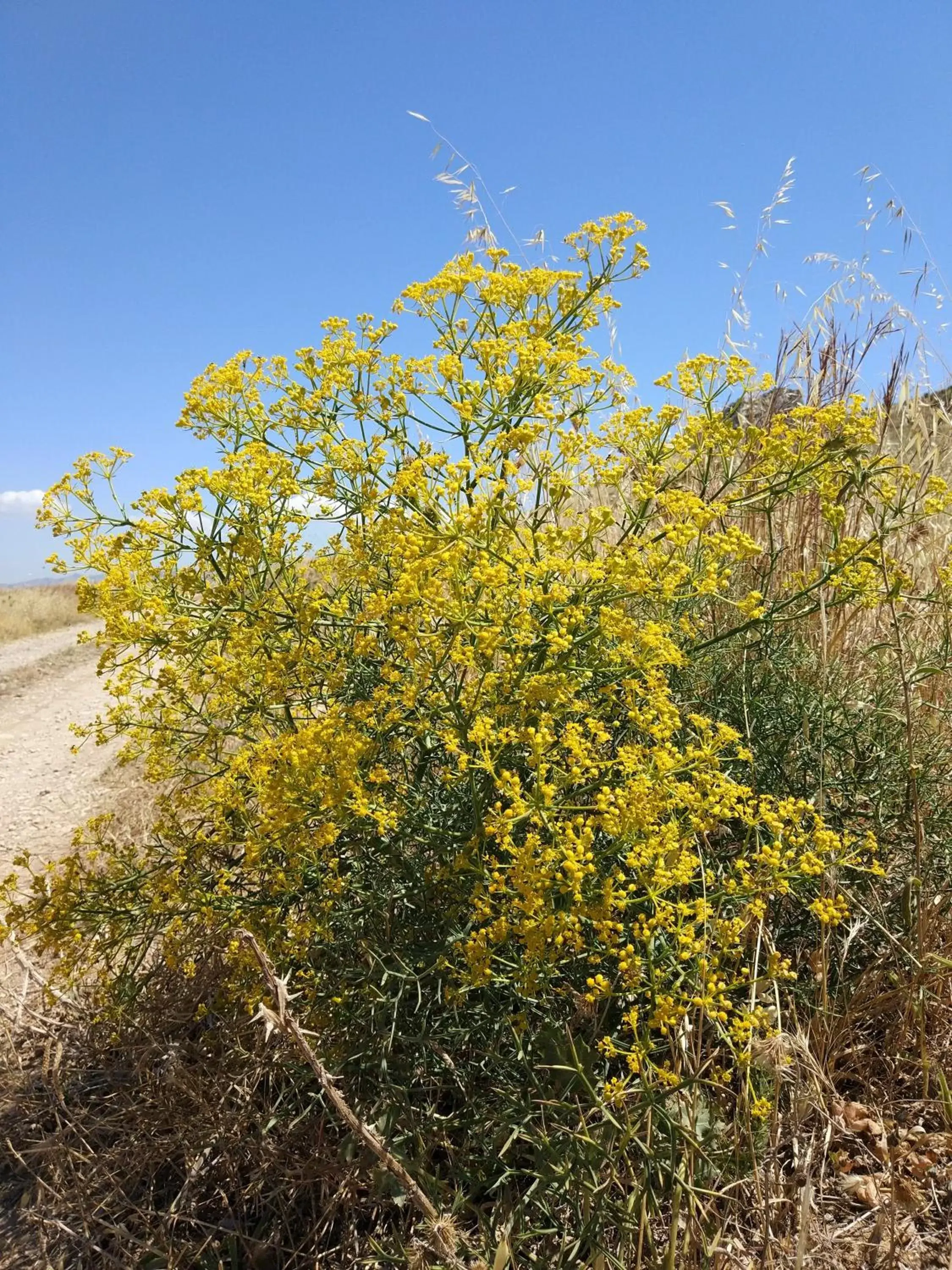 Natural landscape in BnB Sant'Alfonso