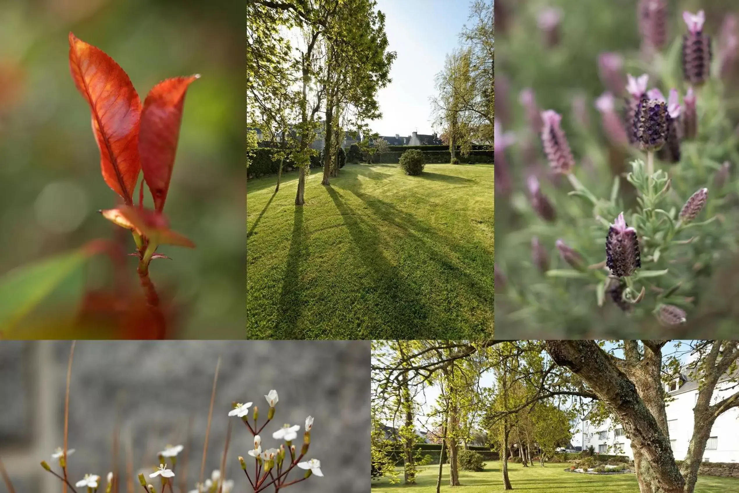 Natural landscape in The Originals City, Hôtel Armen Le Triton, Roscoff (Inter-Hotel)