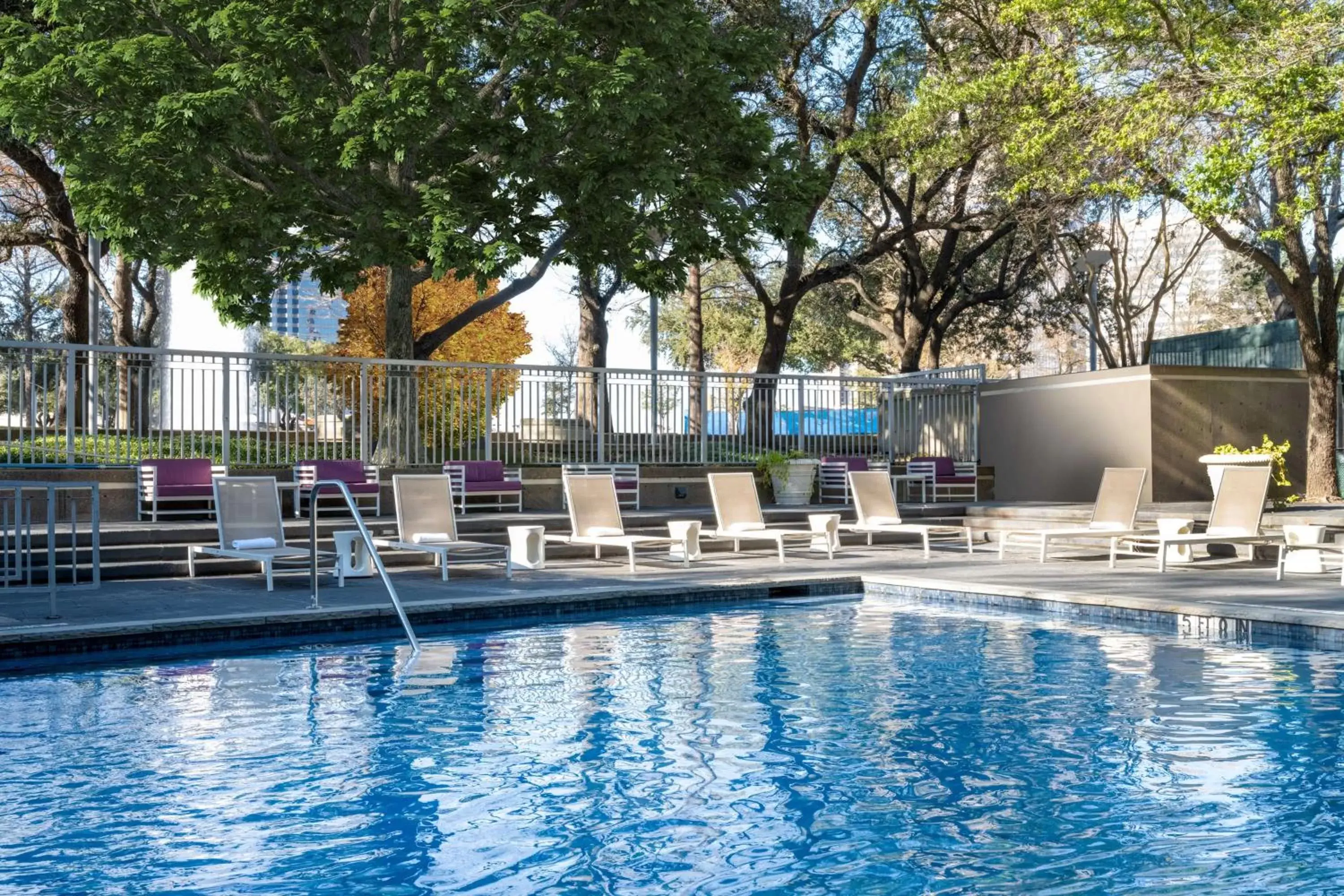 Pool view, Swimming Pool in Hilton Dallas Lincoln Centre