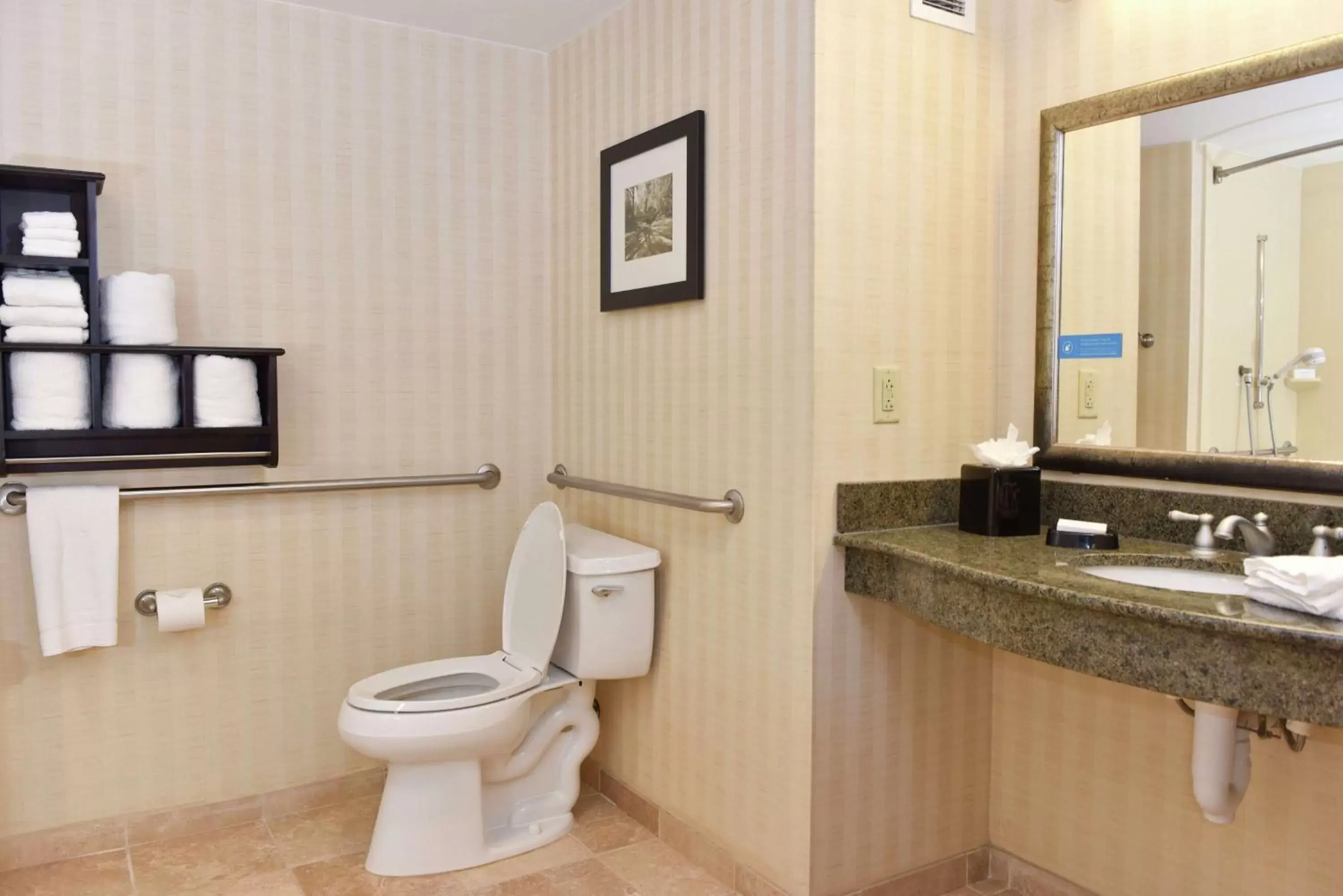 Bathroom in Hampton Inn & Suites Alexandria