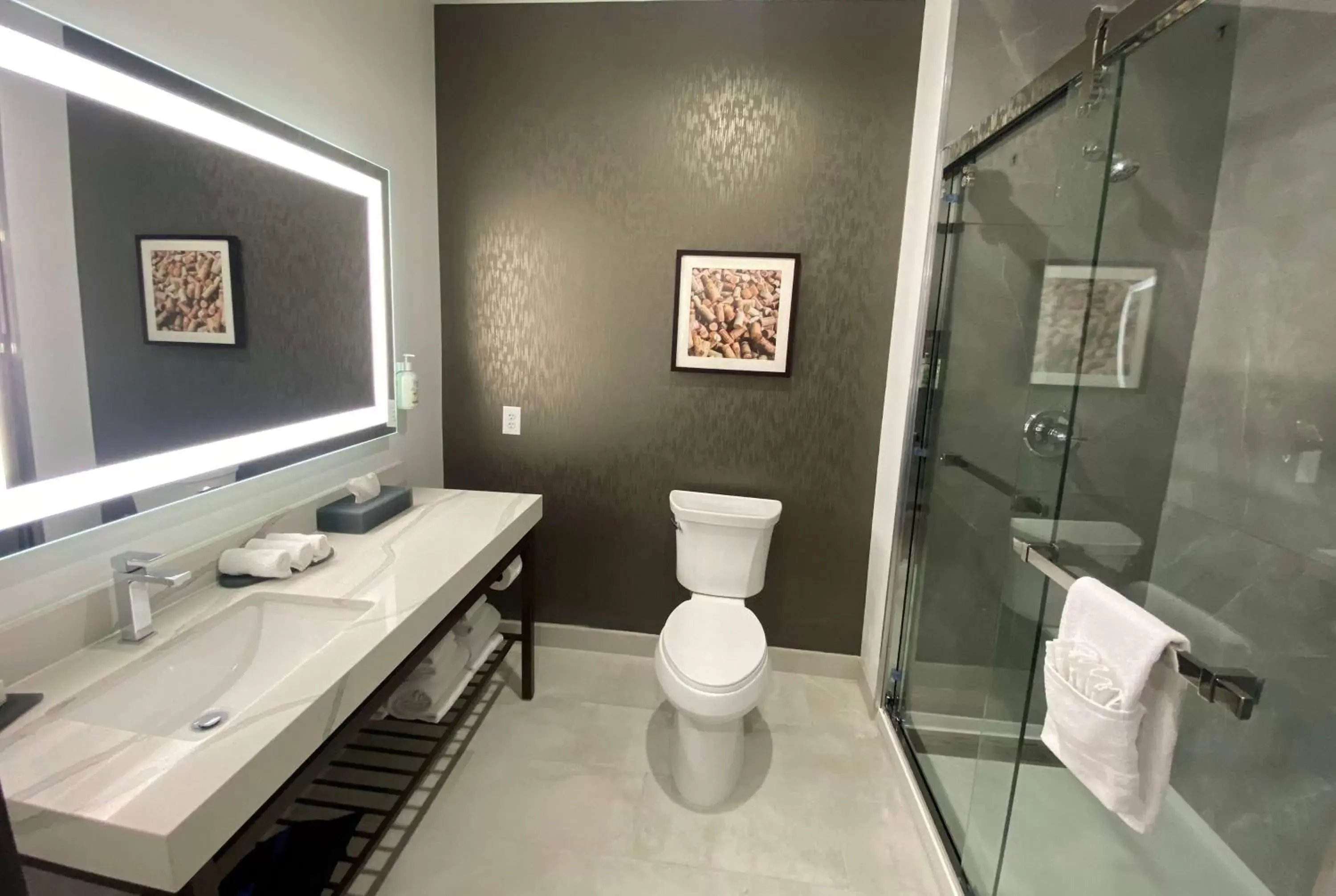 TV and multimedia, Bathroom in La Quinta Inn & Suites by Wyndham Galt Lodi North
