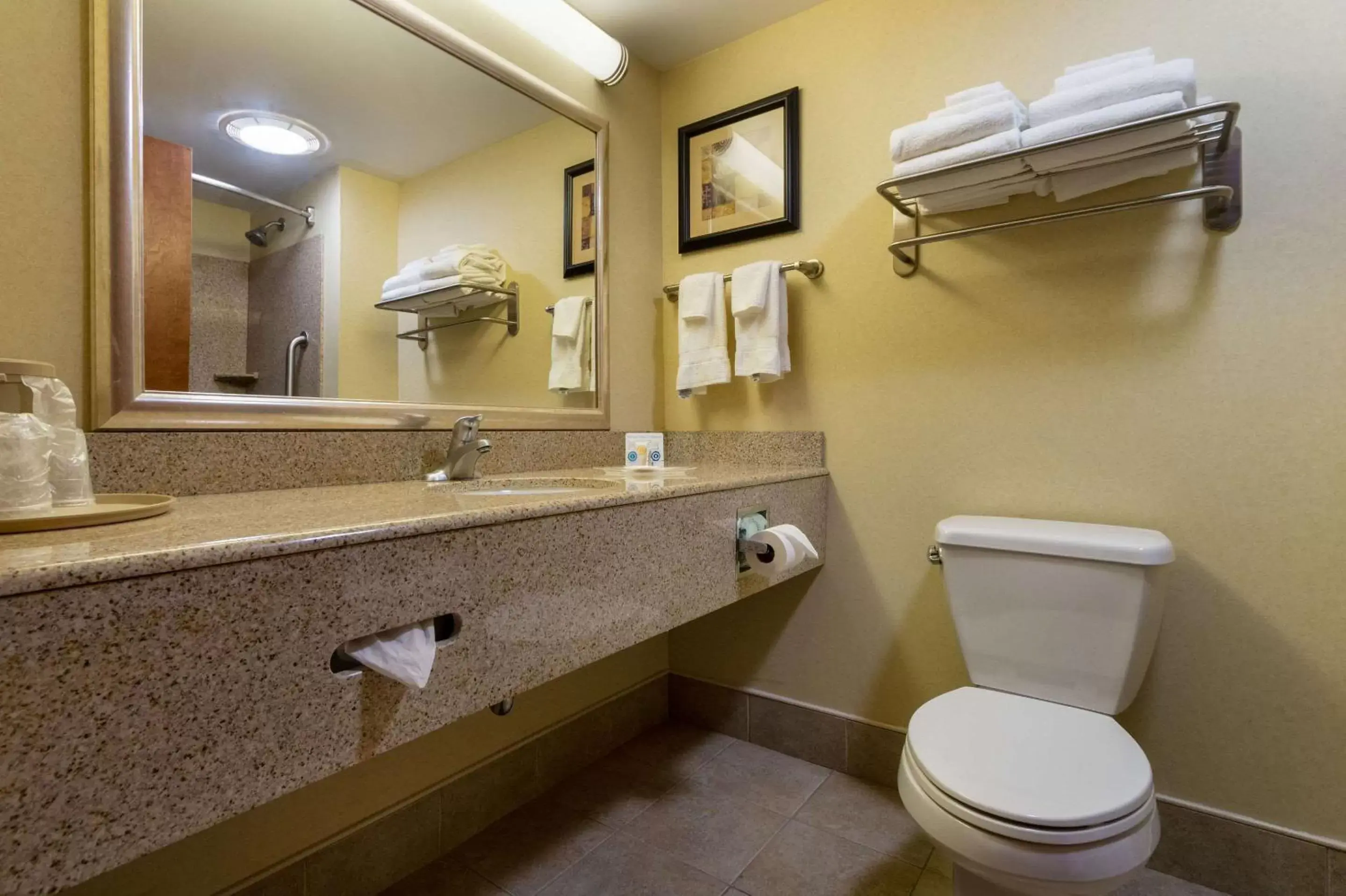 Photo of the whole room, Bathroom in Comfort Suites Near Gettysburg Battlefield Visitor Center