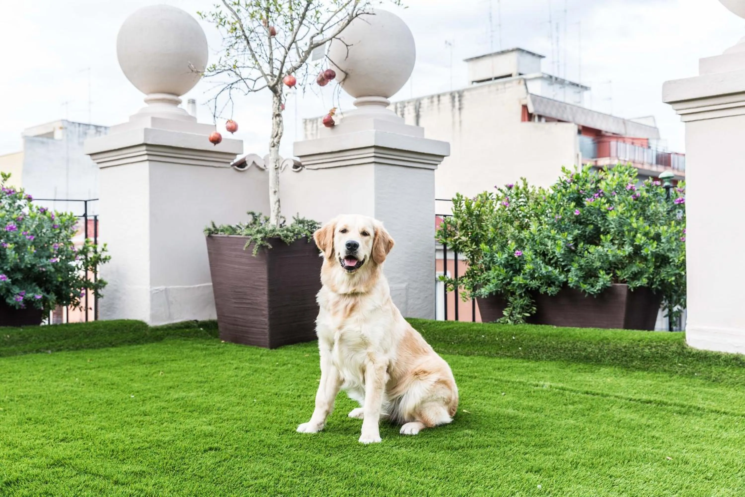 Garden in 200 ROOMS & TERRACE