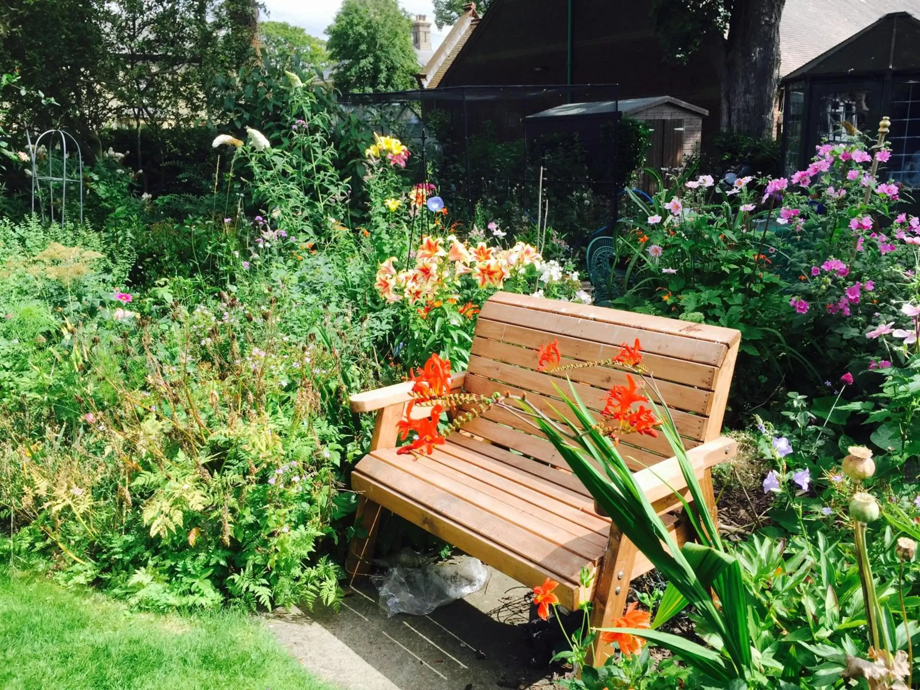 Garden, Patio/Outdoor Area in Fairlight Lodge