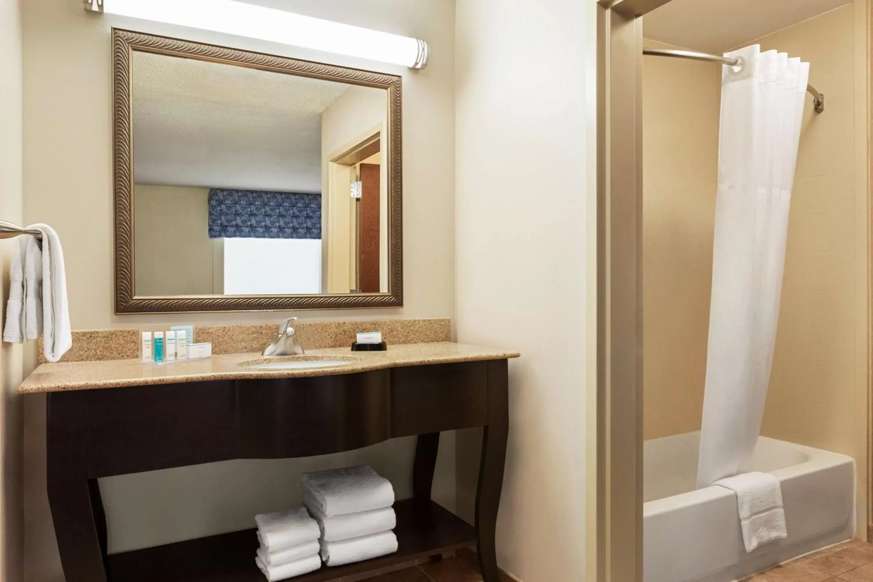 Bathroom in Hampton Inn & Suites Atlanta Airport West Camp Creek Pkwy