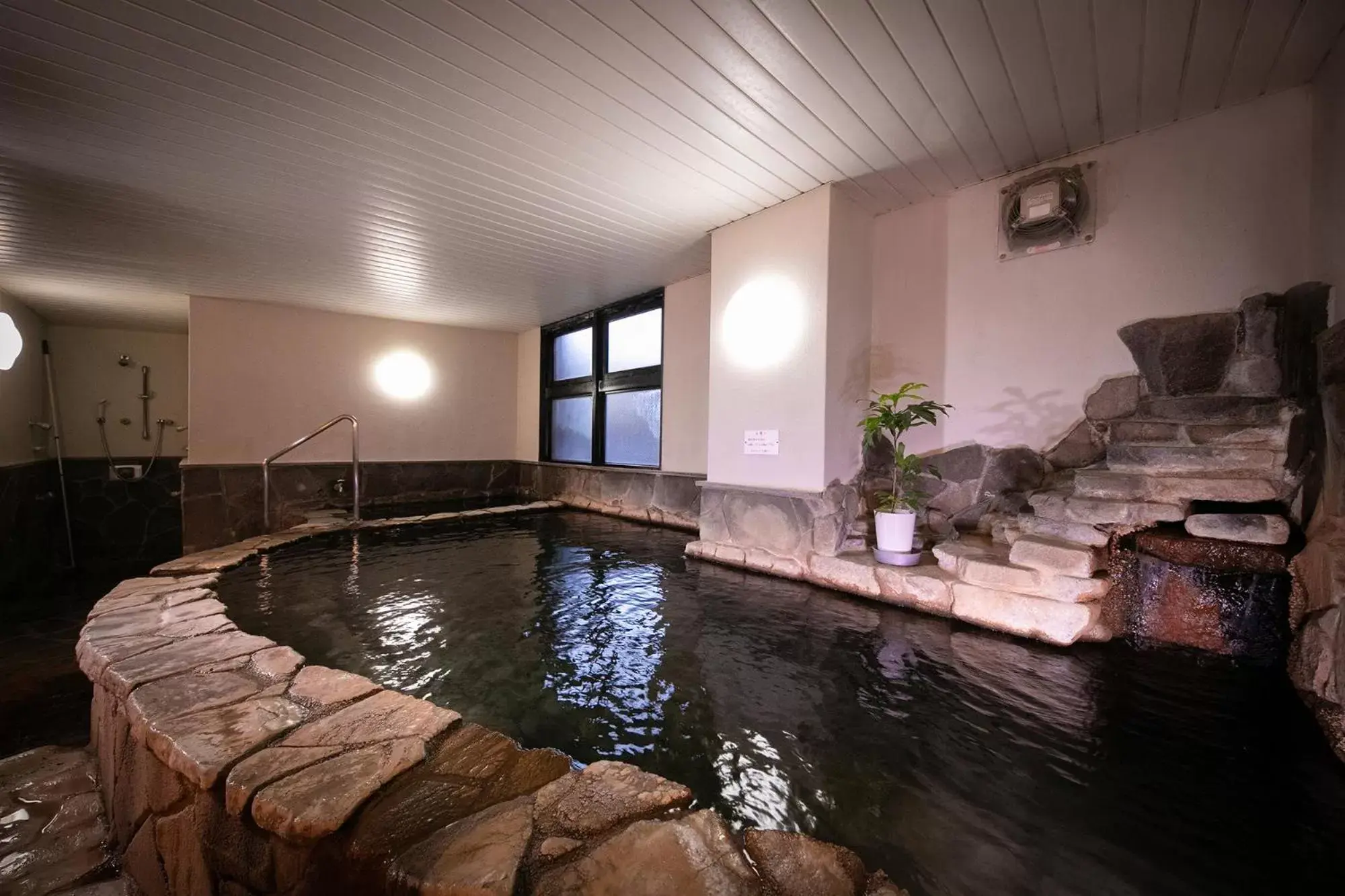 Public Bath, Swimming Pool in Hotel Arthur