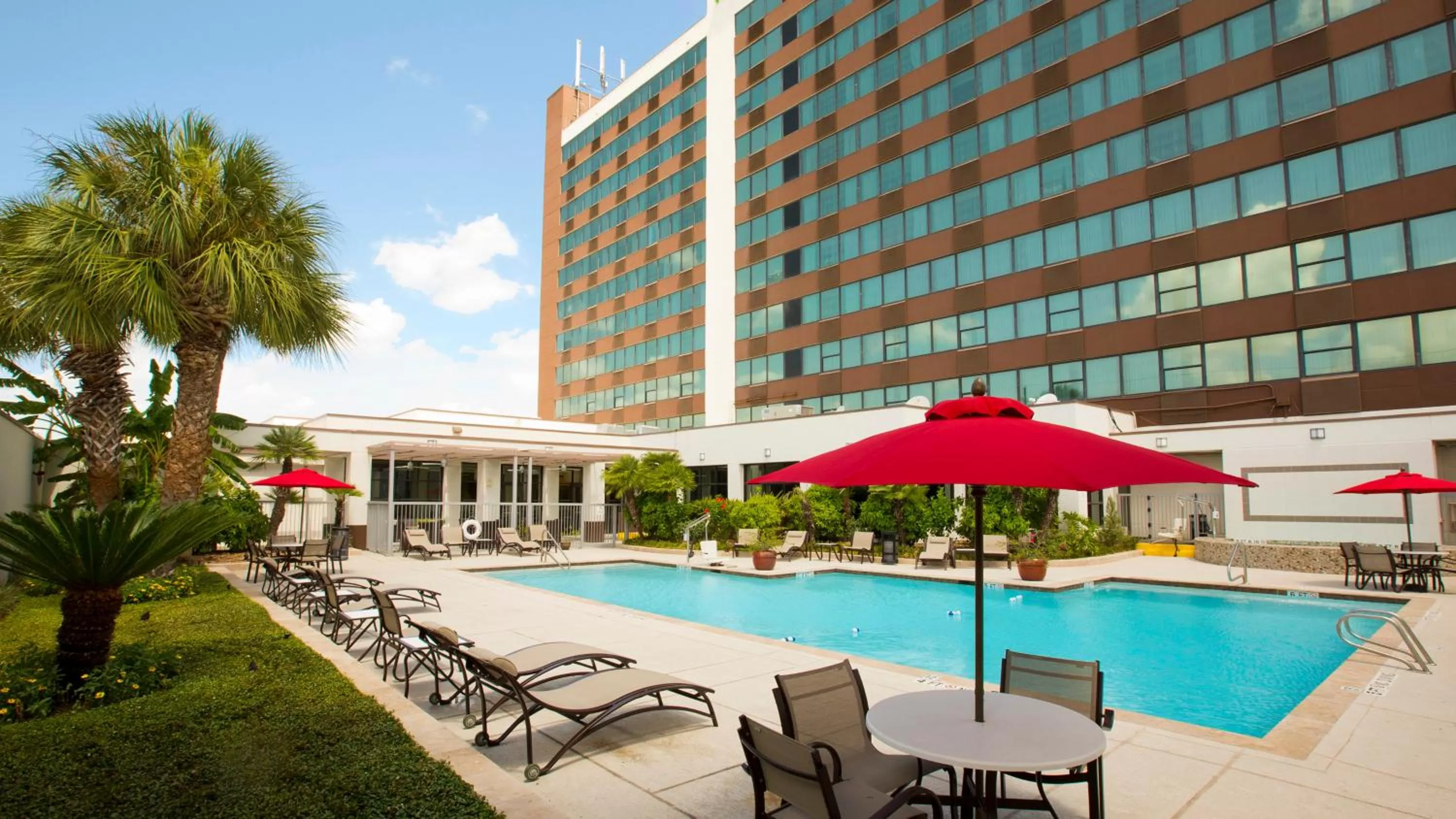Swimming pool in Holiday Inn Houston S - NRG Area - Med Ctr by IHG