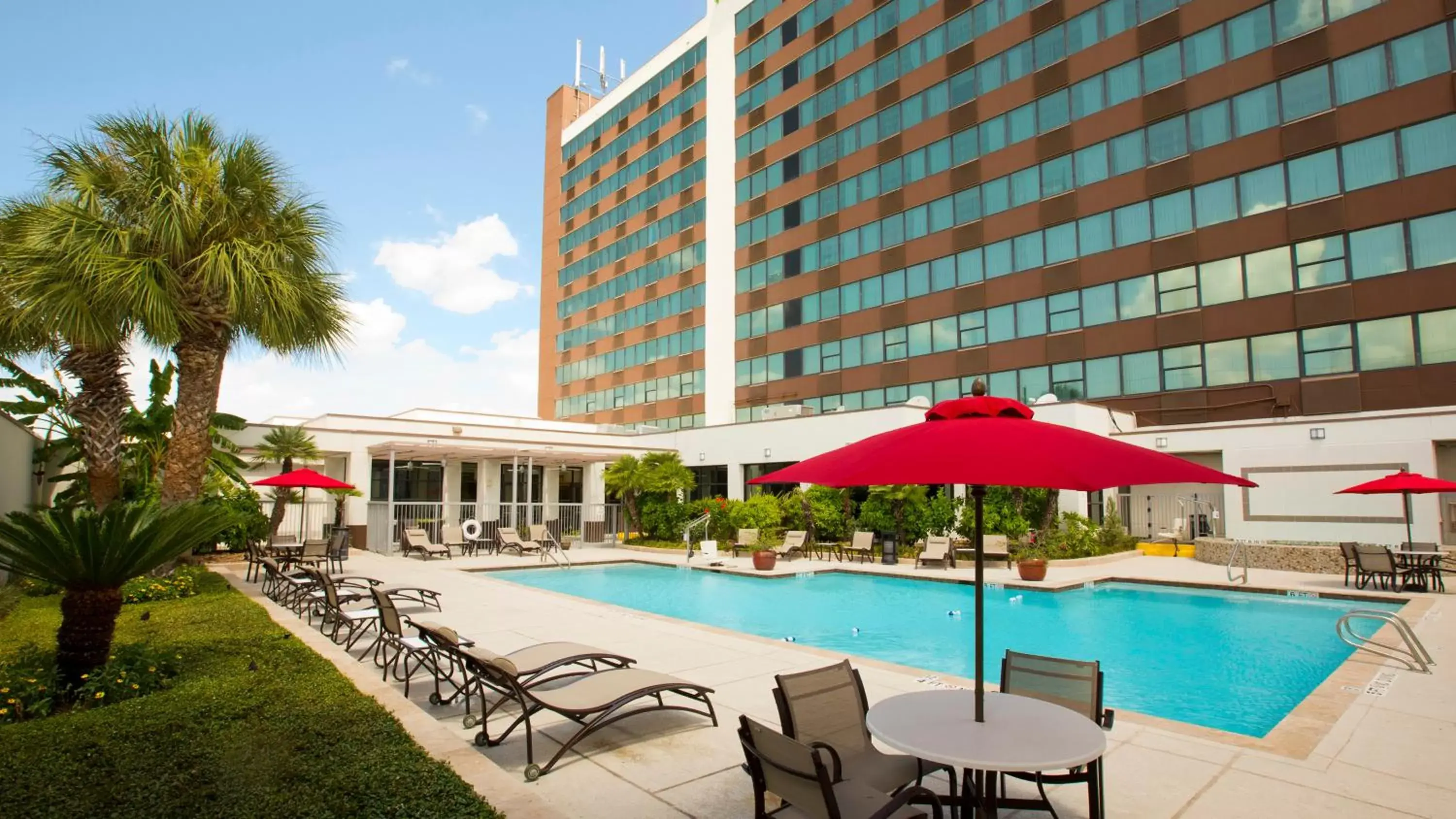 Swimming Pool in Holiday Inn Houston S - NRG Area - Med Ctr, an IHG Hotel
