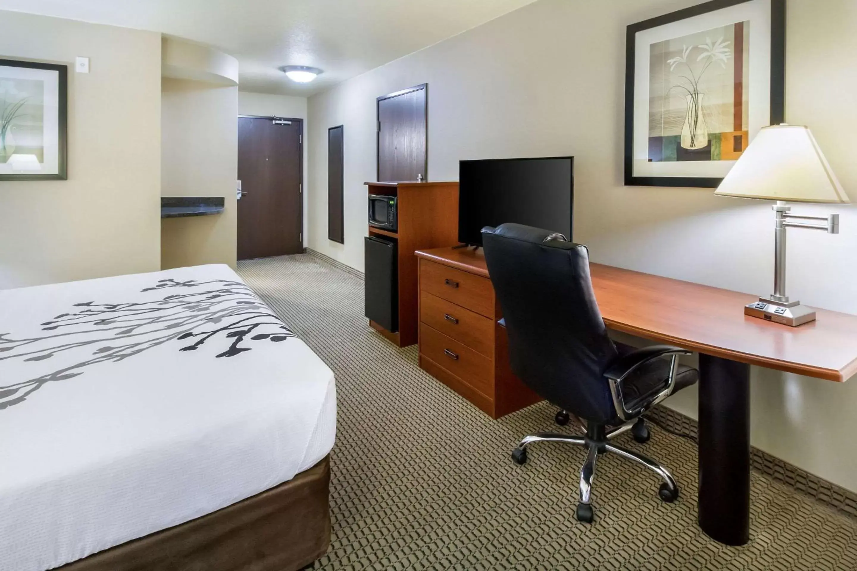 Photo of the whole room in Sleep Inn & Suites Rapid City