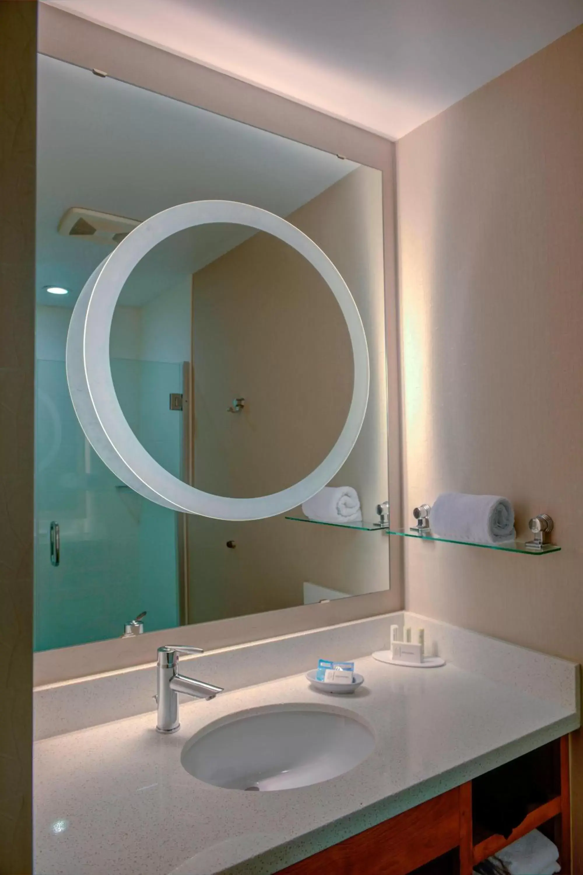 Bathroom in SpringHill Suites by Marriott Macon