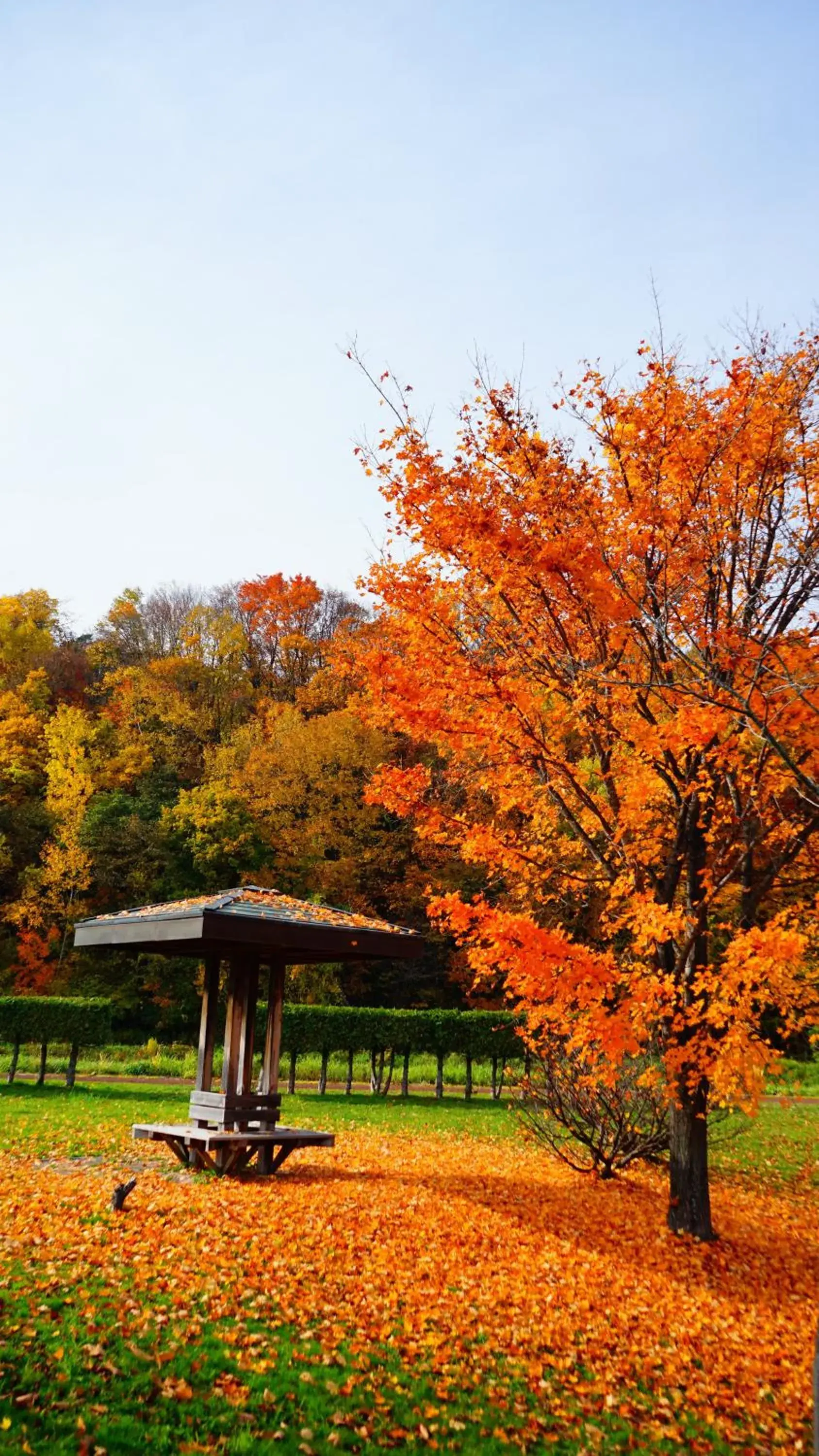 Off site, Garden in Furano Natulux Hotel