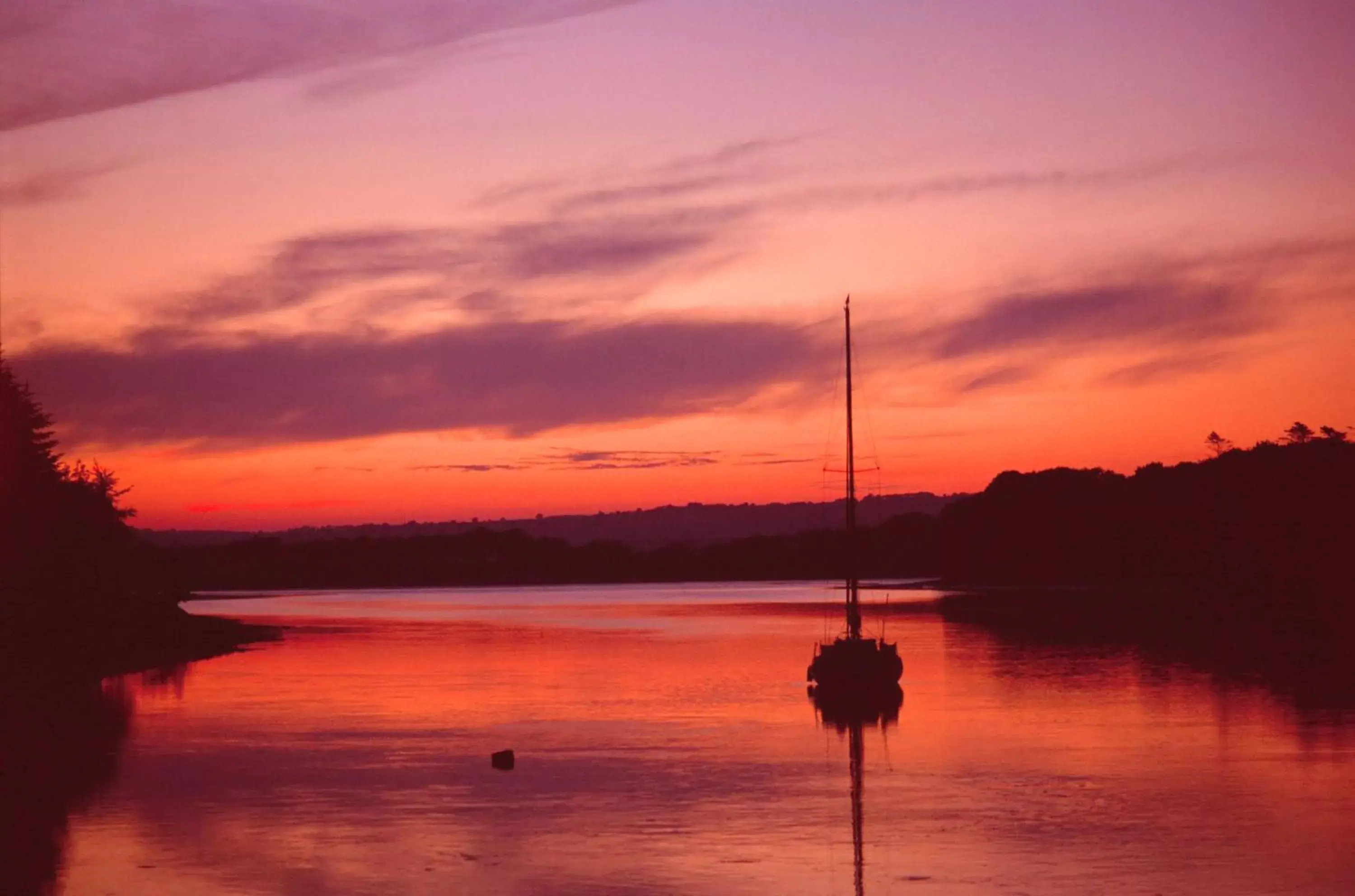 Natural landscape in Carrigaline Court Hotel & Leisure Centre