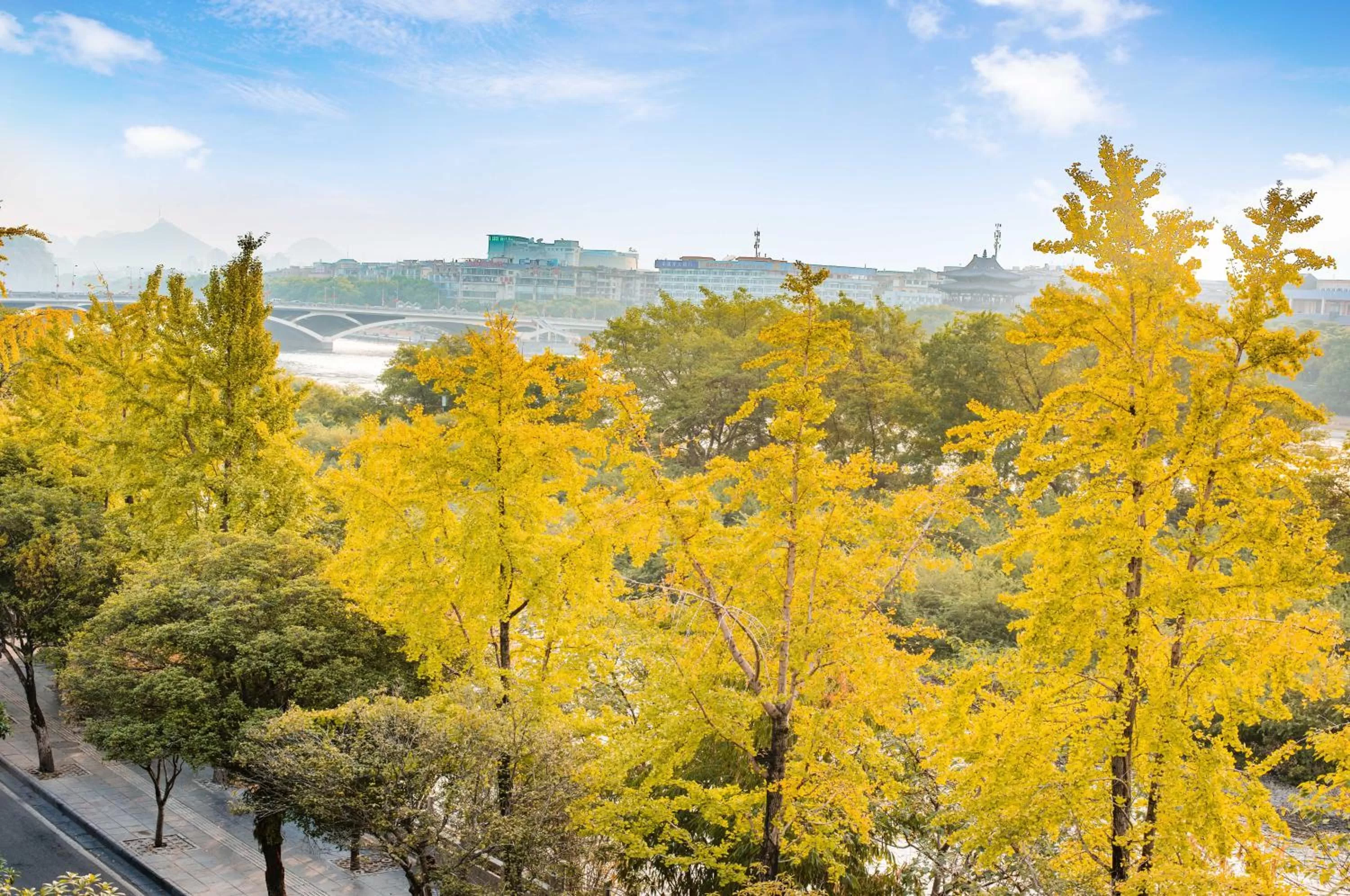 Natural landscape in Li River Resort Villa Hotel