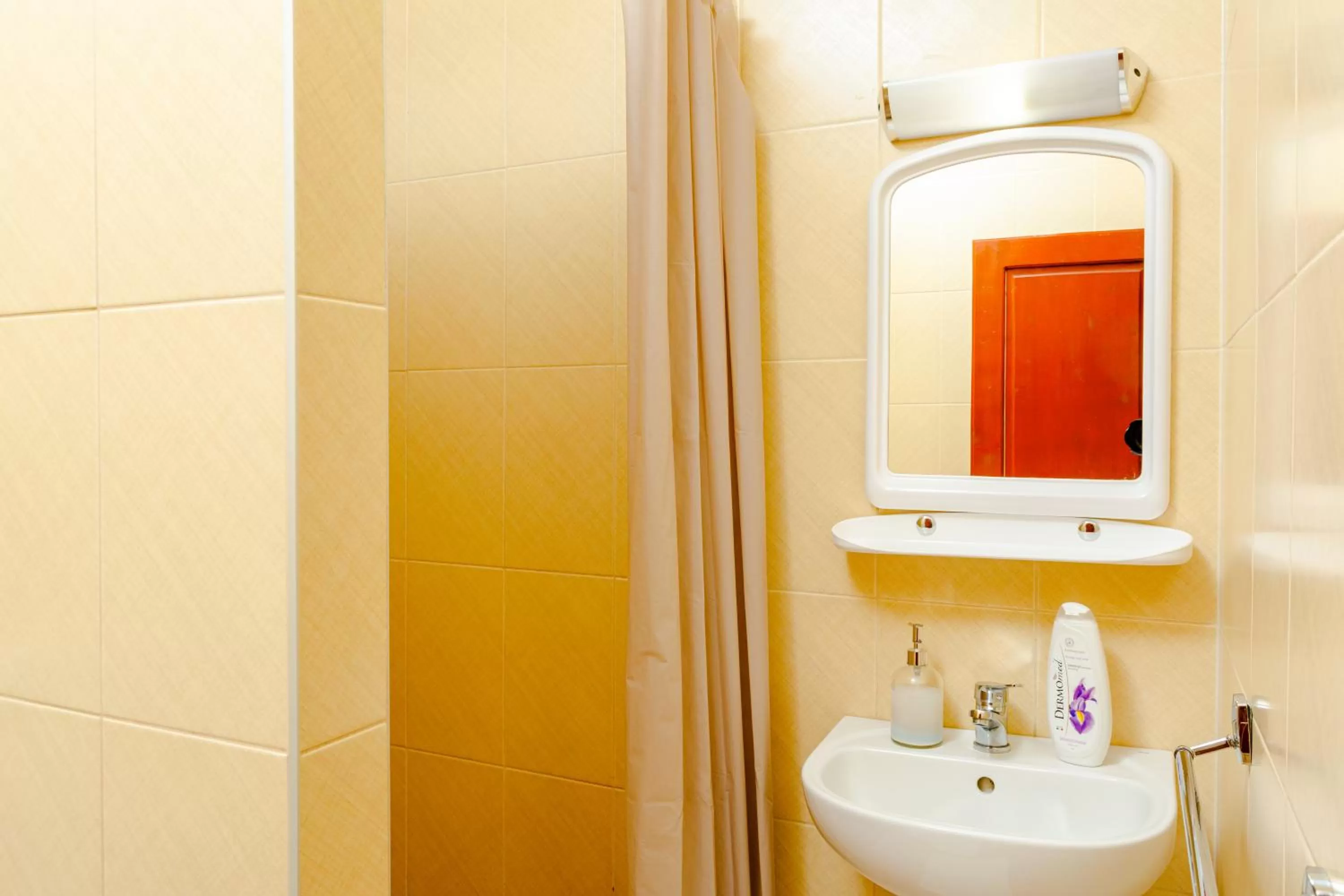 Bathroom in Pensiunea Pictorilor