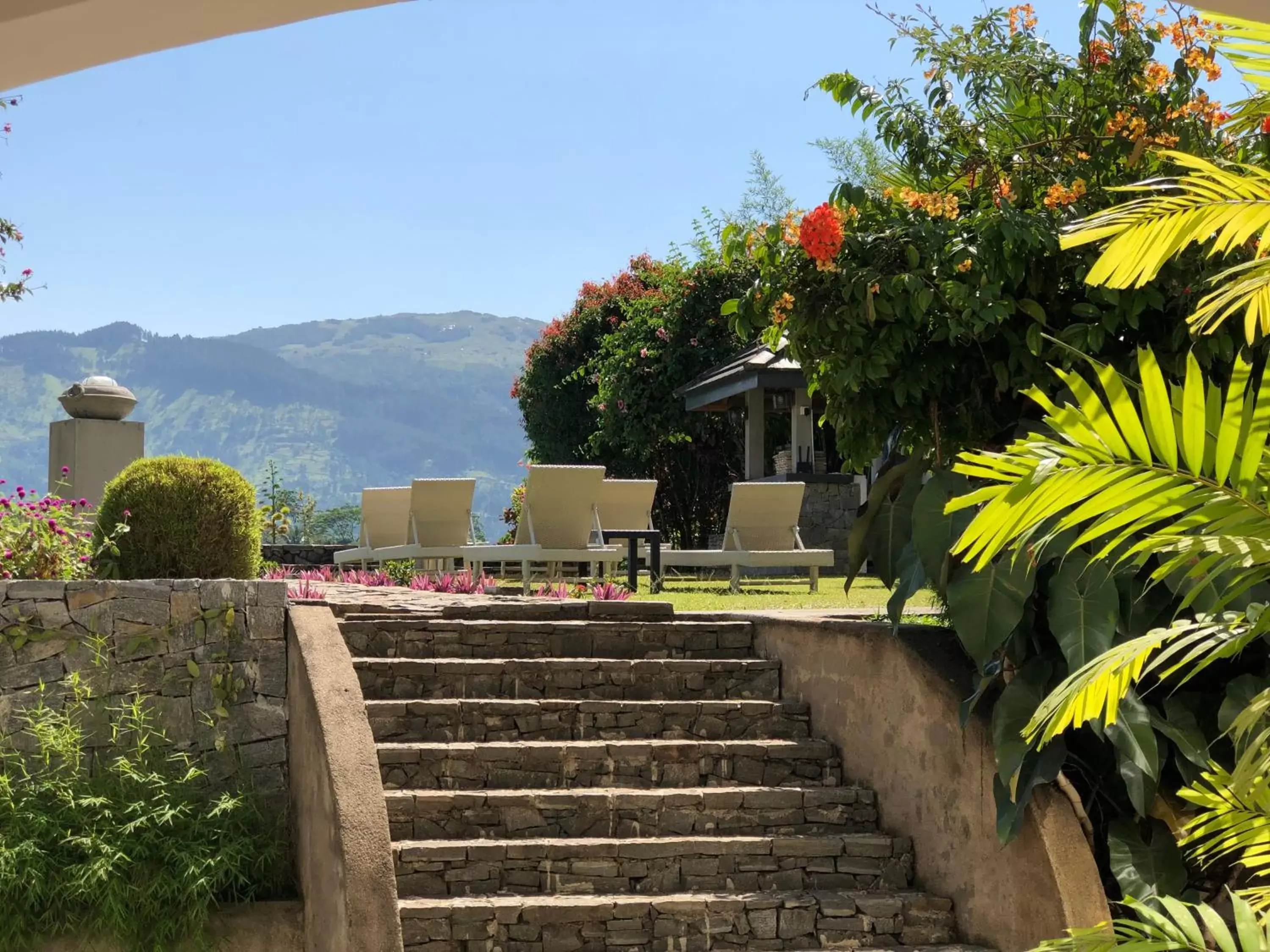 Garden in Elegant Hotel