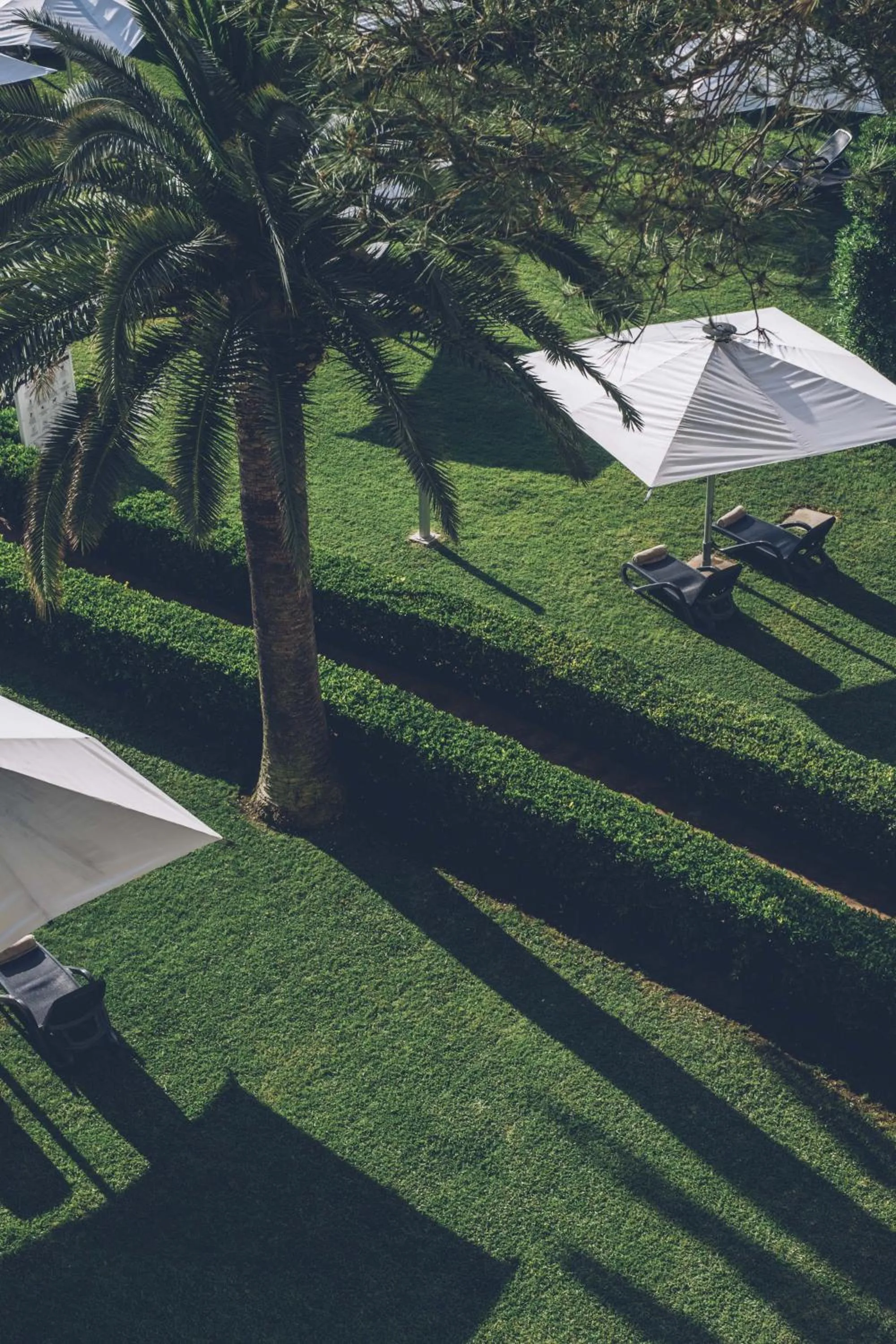 Garden view in AYA Seahotel - Adults Only