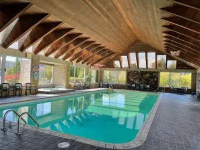 Swimming Pool in Parkside Inn Bridgeview