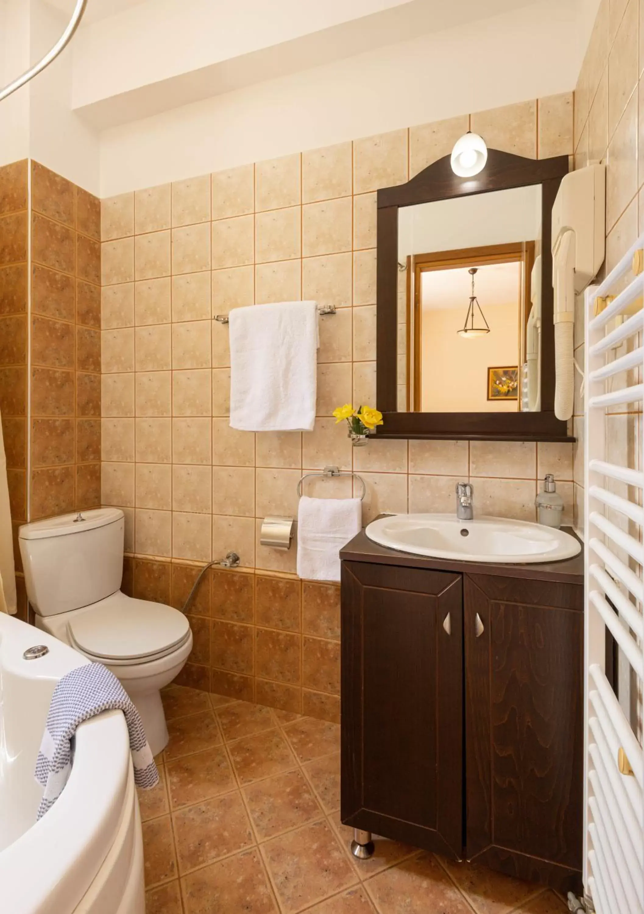 Bathroom in Dimosthenis