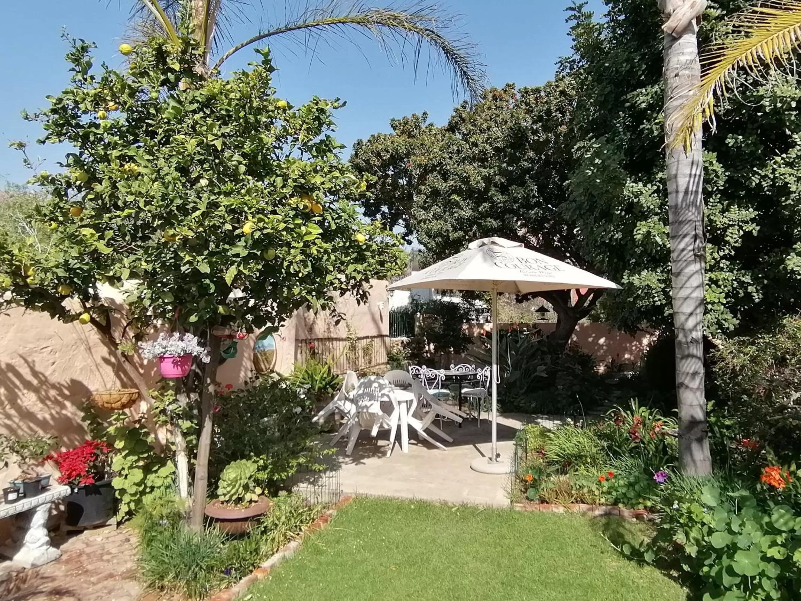 Patio in Squirrels Corner