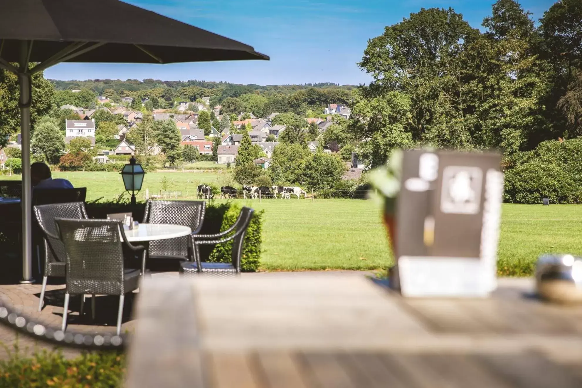 Garden in Hotel Restaurant De Wolfsberg