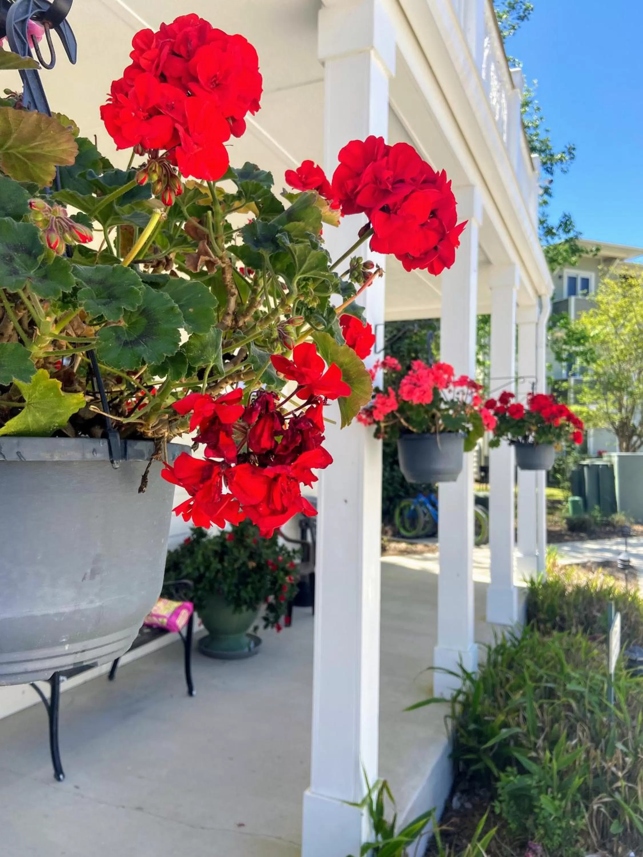 Lobby or reception in 30-A Inn & Suites