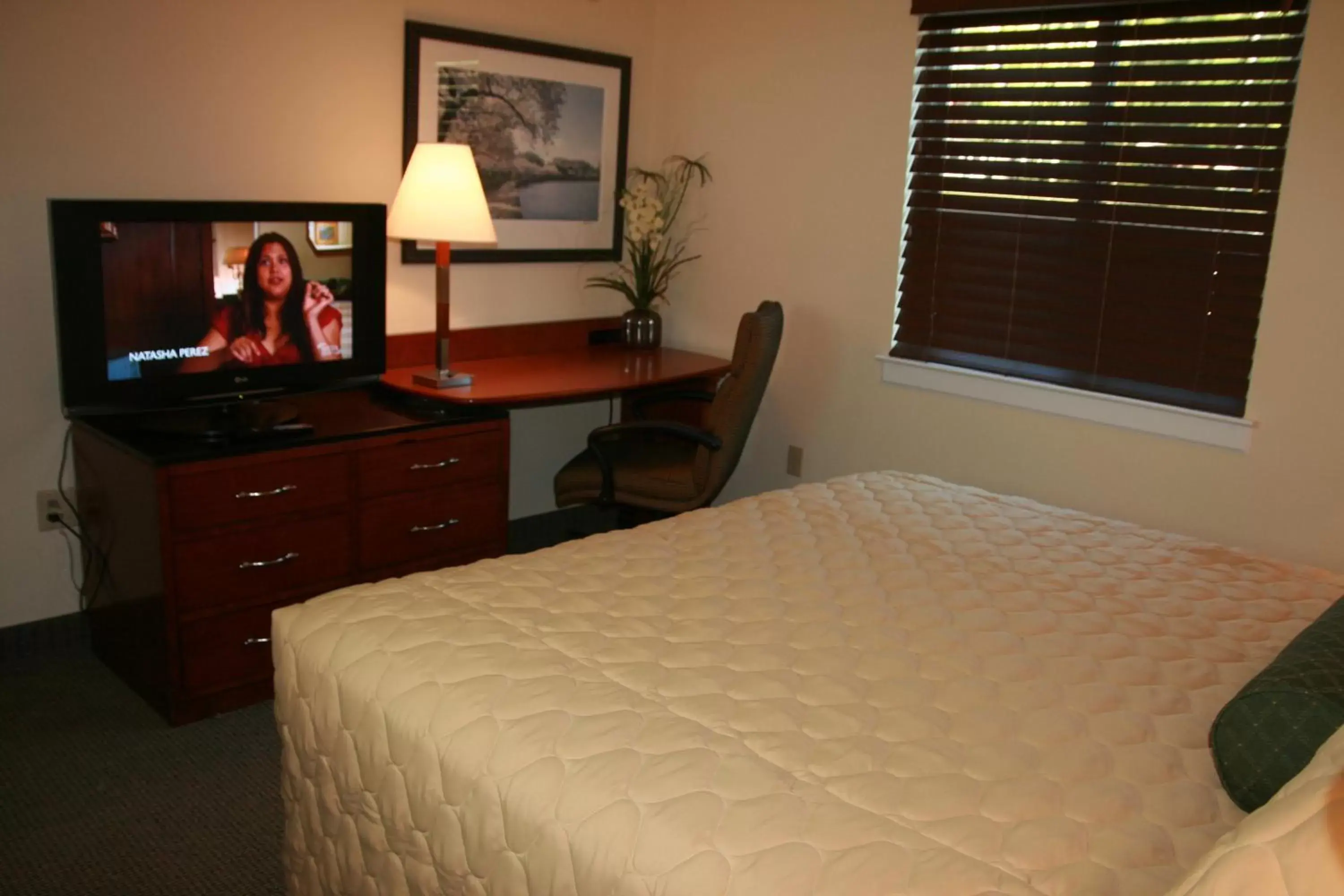 Bed in Affordable Suites of America Stafford Quantico