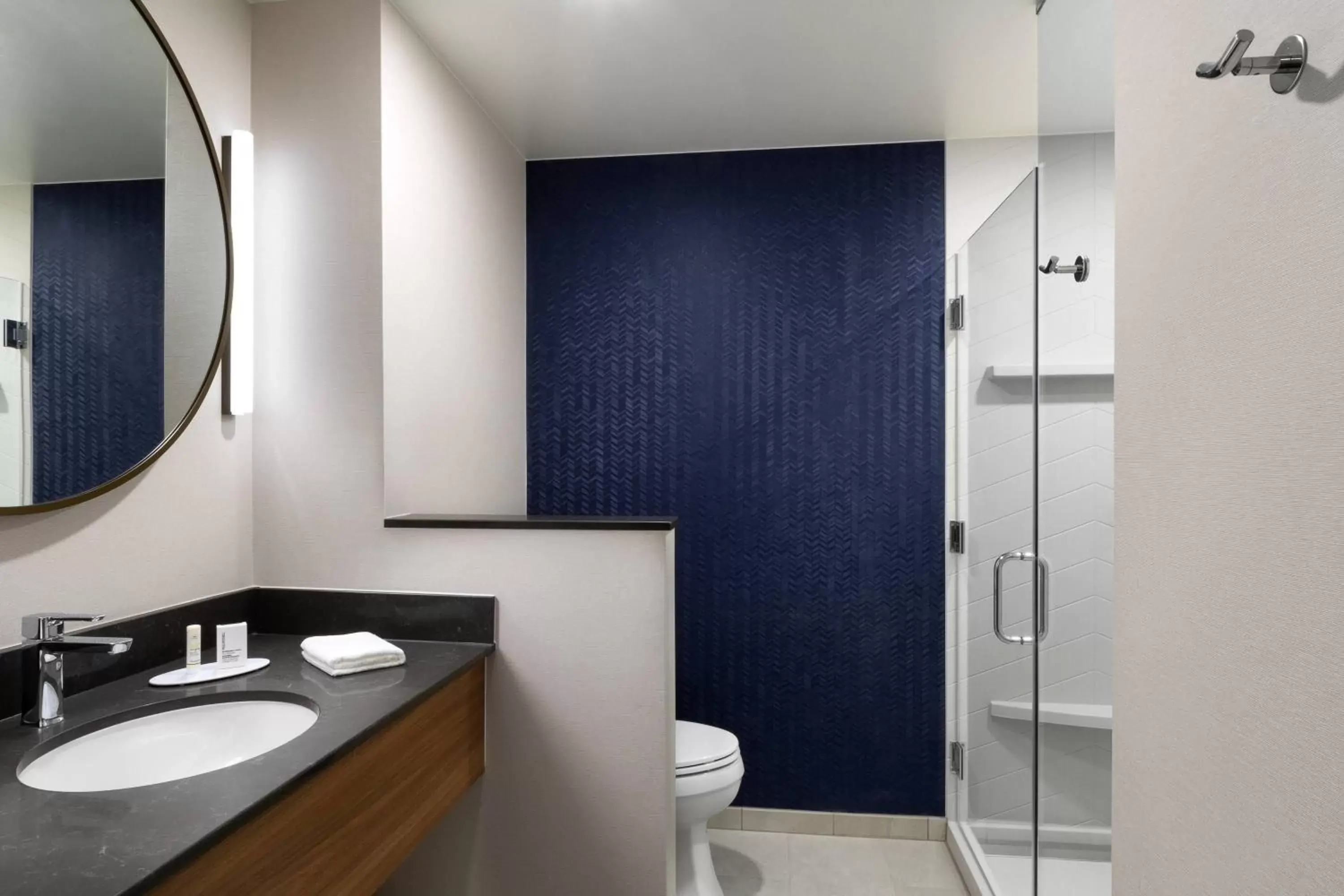 Bathroom in Fairfield by Marriott Inn and Suites O Fallon IL