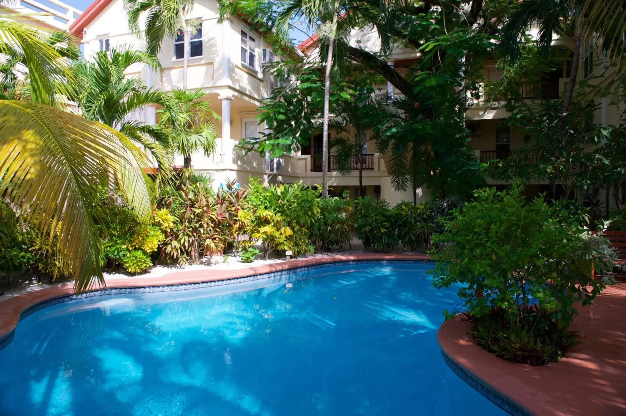 Swimming pool in The Palms Oceanfront Suites Swimming pool in The Palms Oceanfront Suites