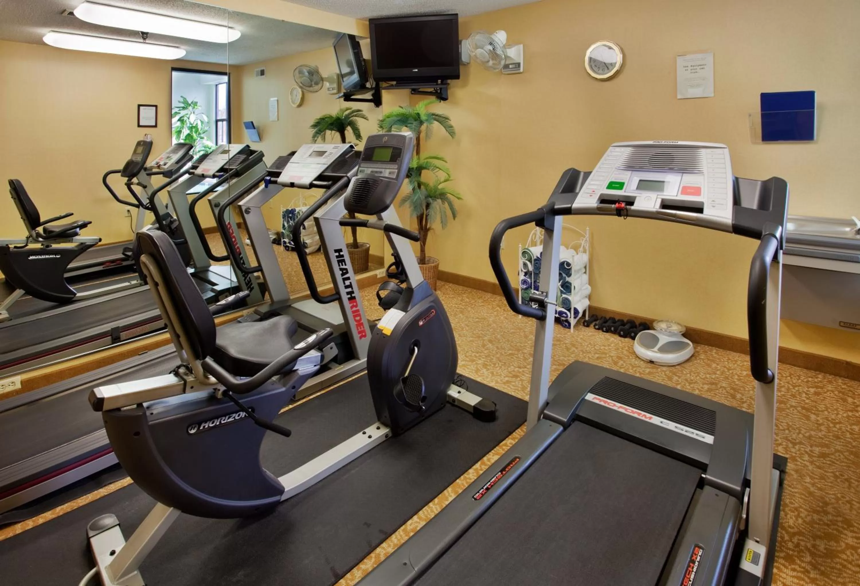 Fitness centre/facilities in Holiday Inn Express Hotel & Suites Fenton/I-44 by IHG