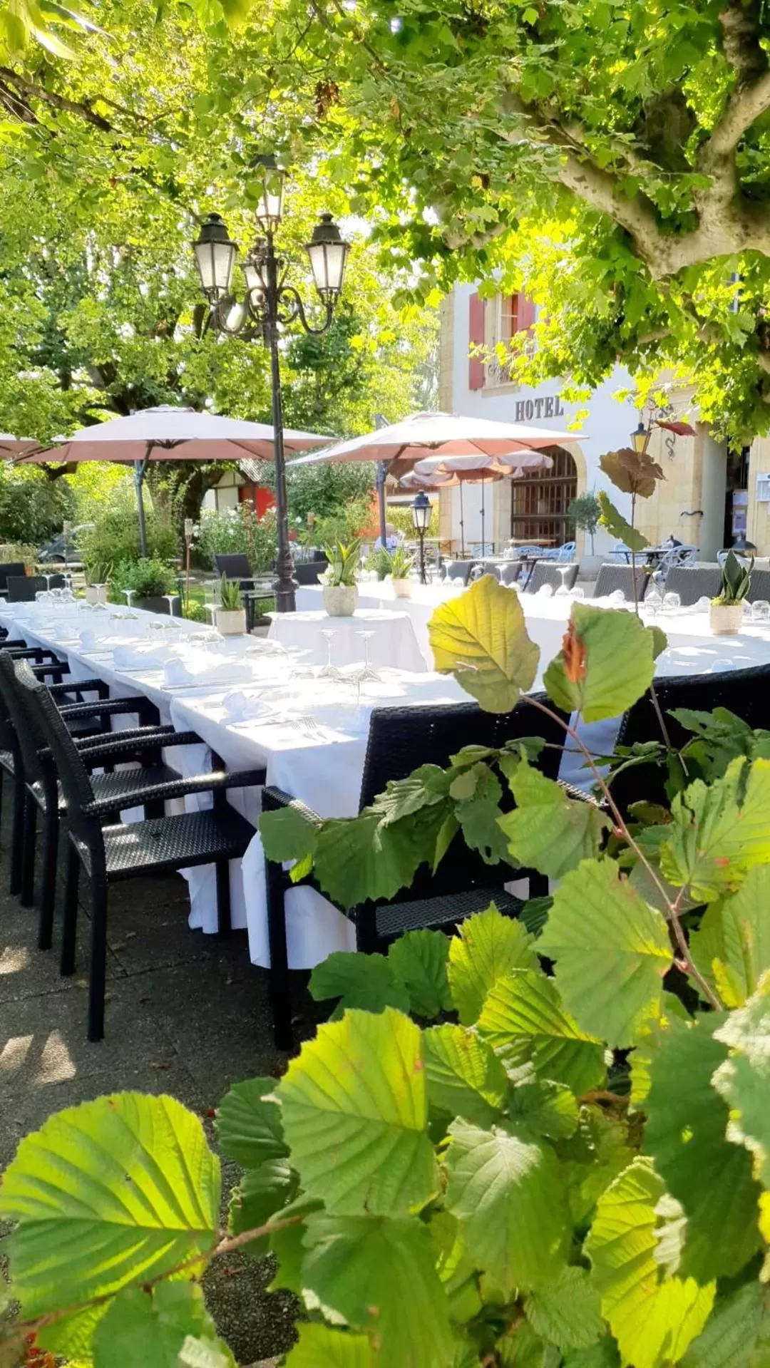 Patio, Restaurant/Places to Eat in Hôtel Restaurant Bellevue