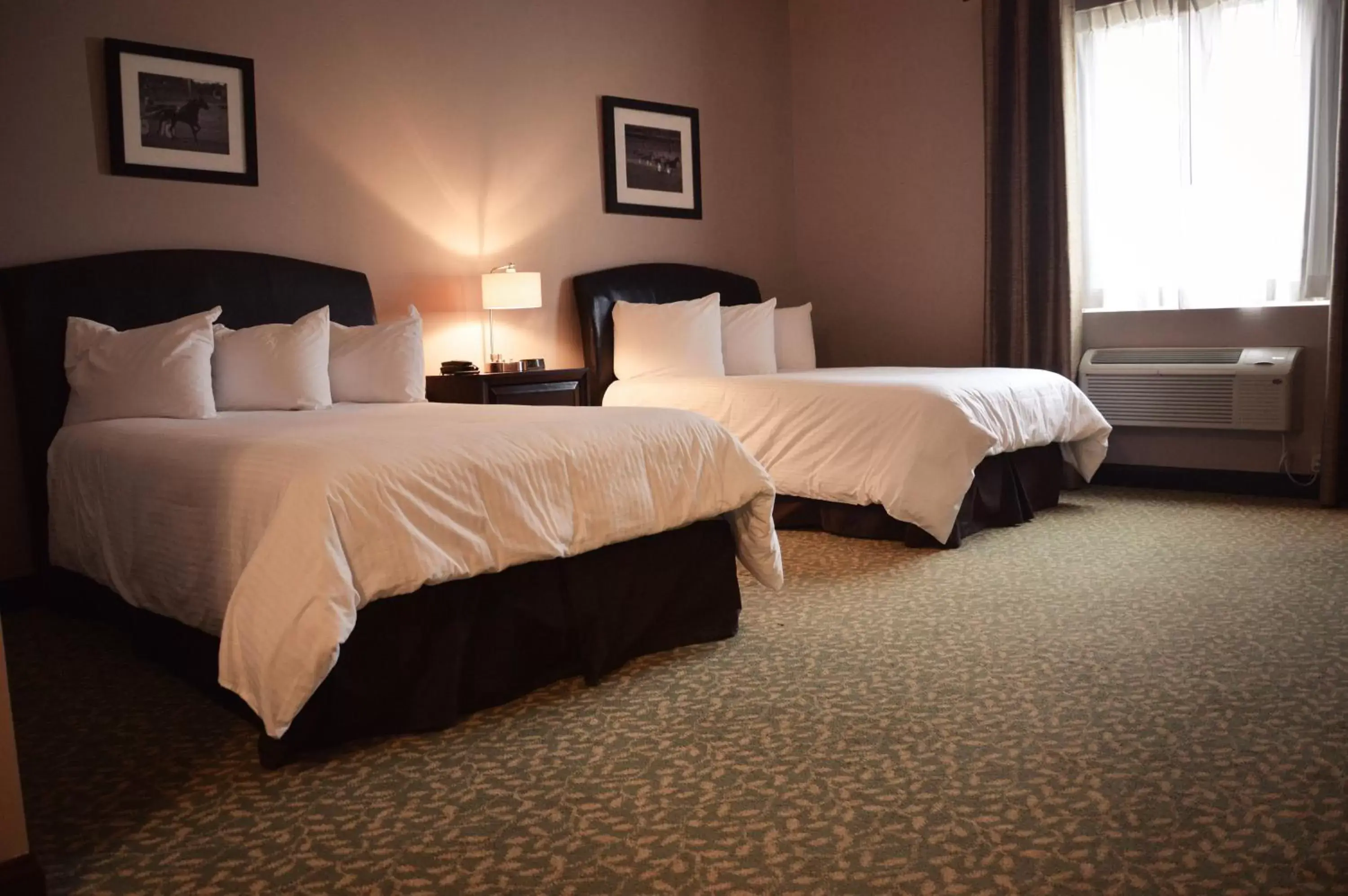 Bed in Belvedere Inn Schenectady - Albany