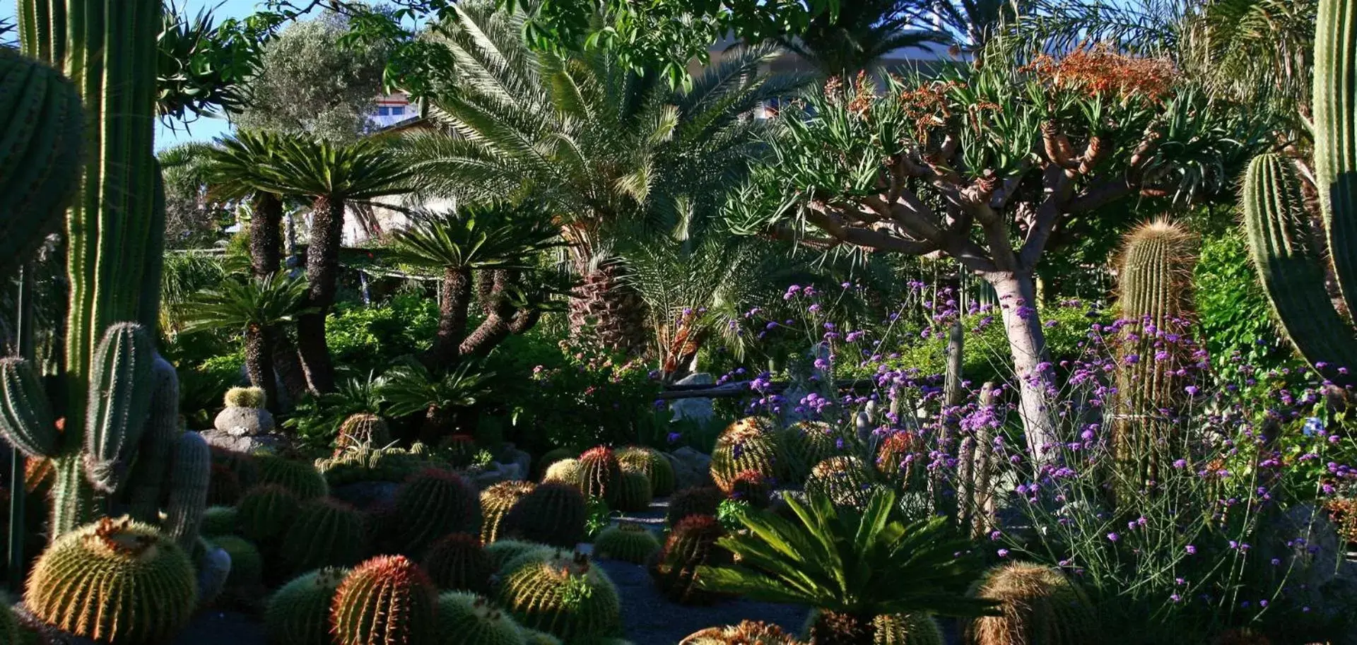 Garden in Villa Ravino Aparthotel