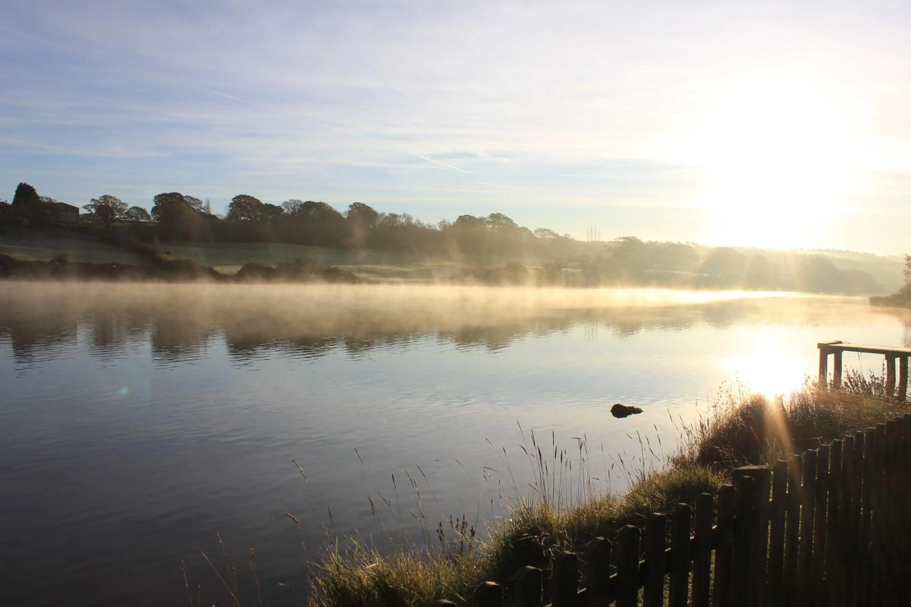 View (from property/room) in Lakeside Park Hotel & Spa
