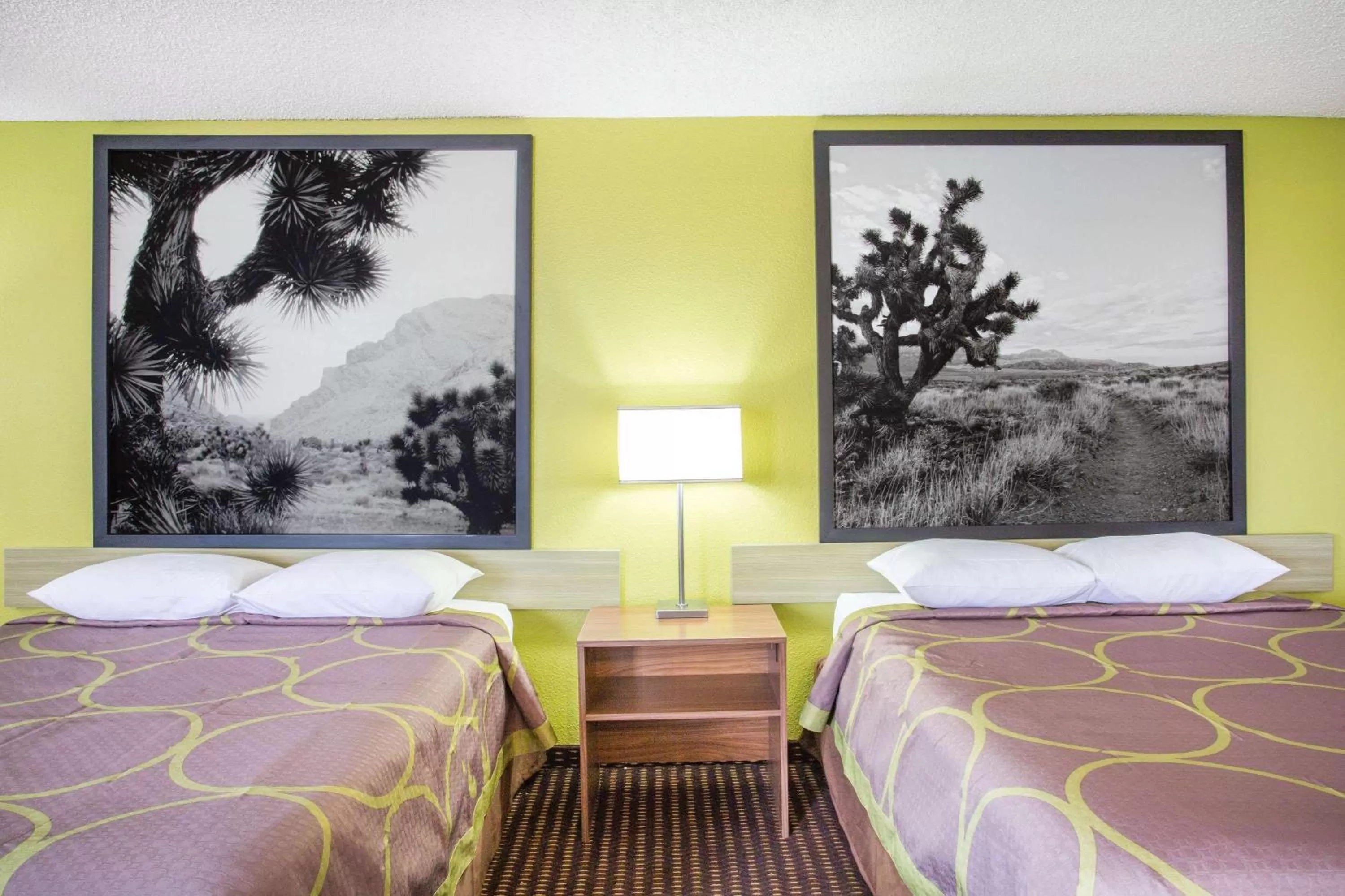 Photo of the whole room, Bed in Super 8 by Wyndham Kingman