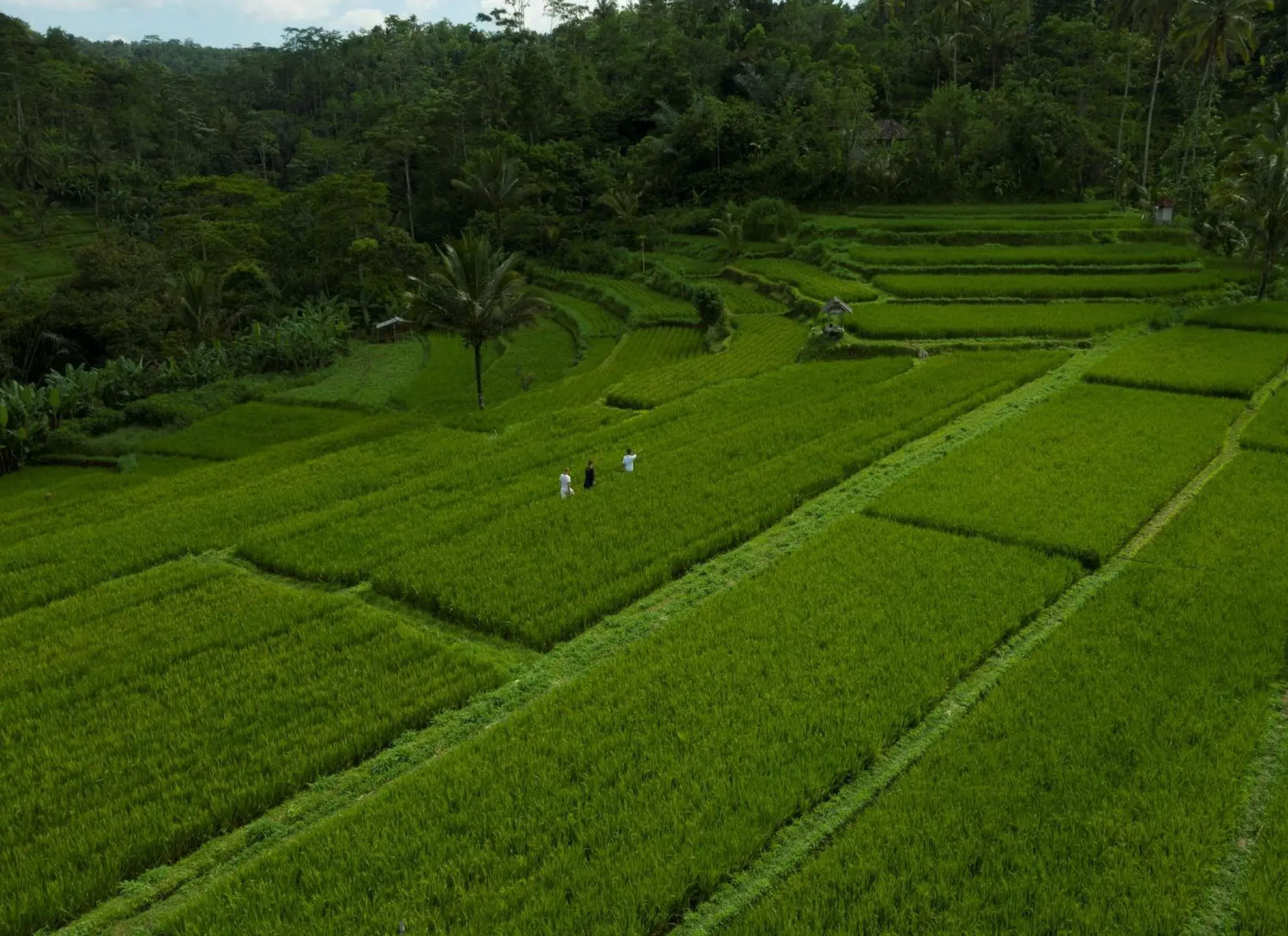 Landmark view in Adiwana Suweta