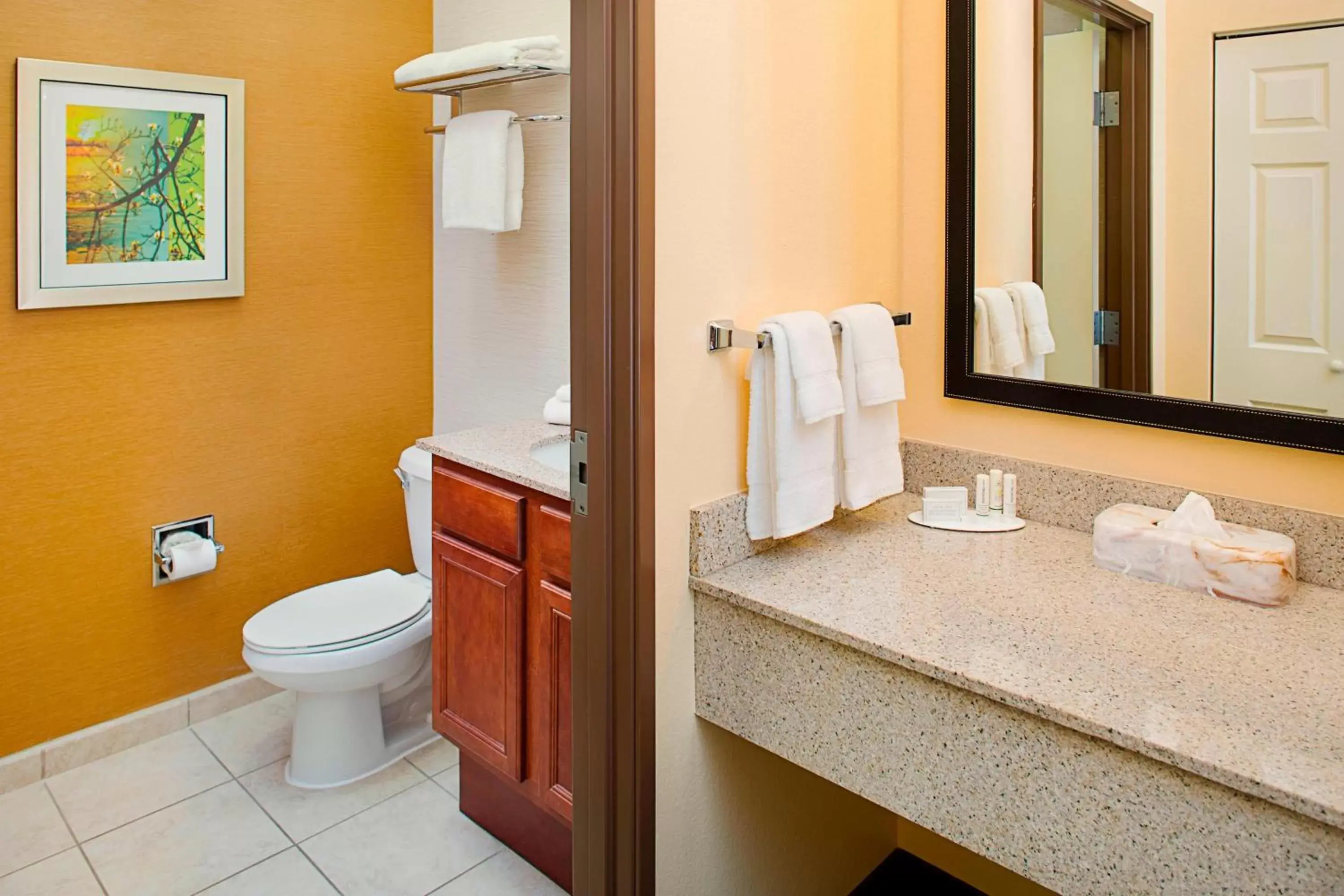 Bathroom in Fairfield Inn & Suites by Marriott Lafayette South