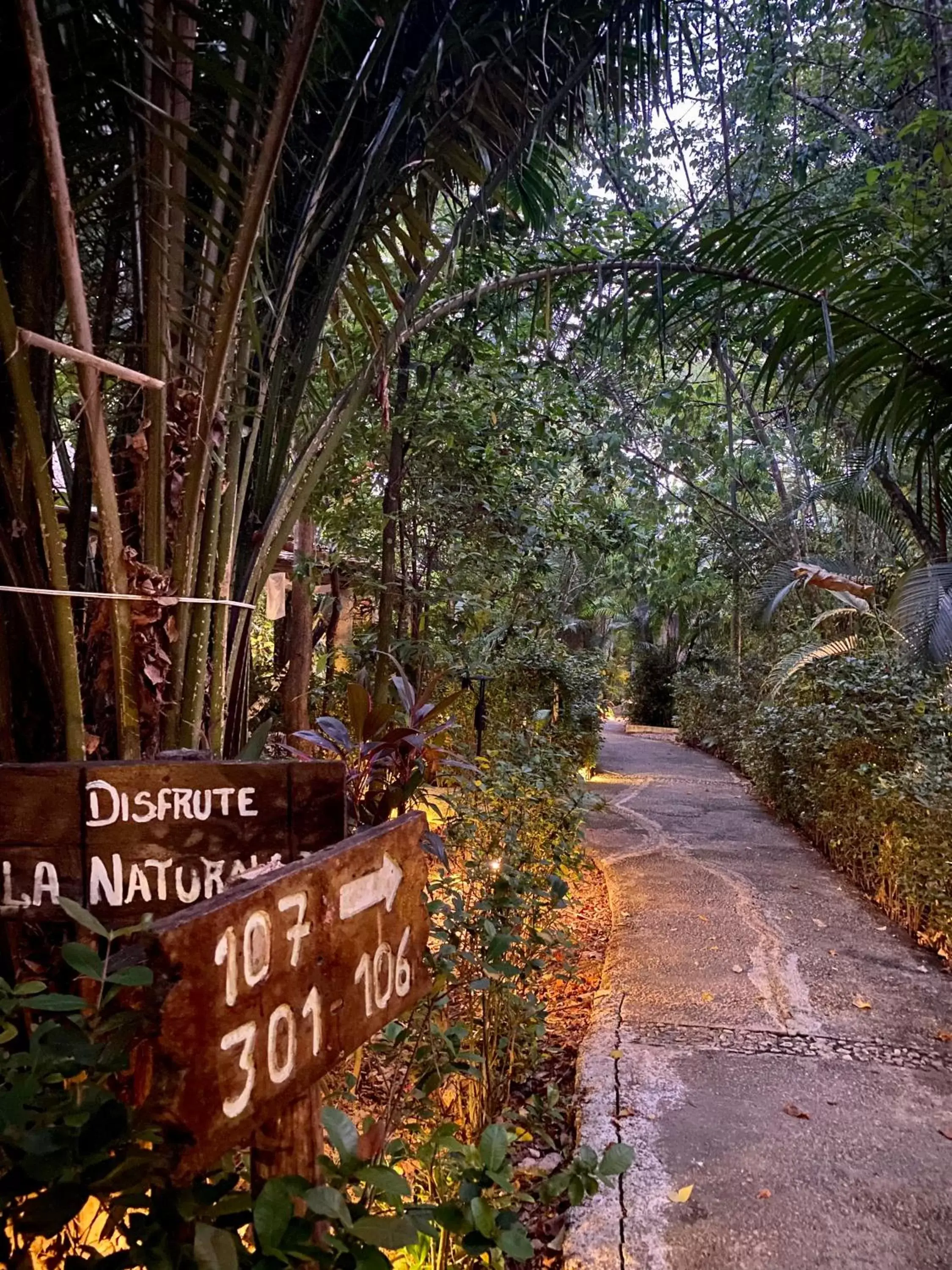 Garden in Piedra de Agua Palenque