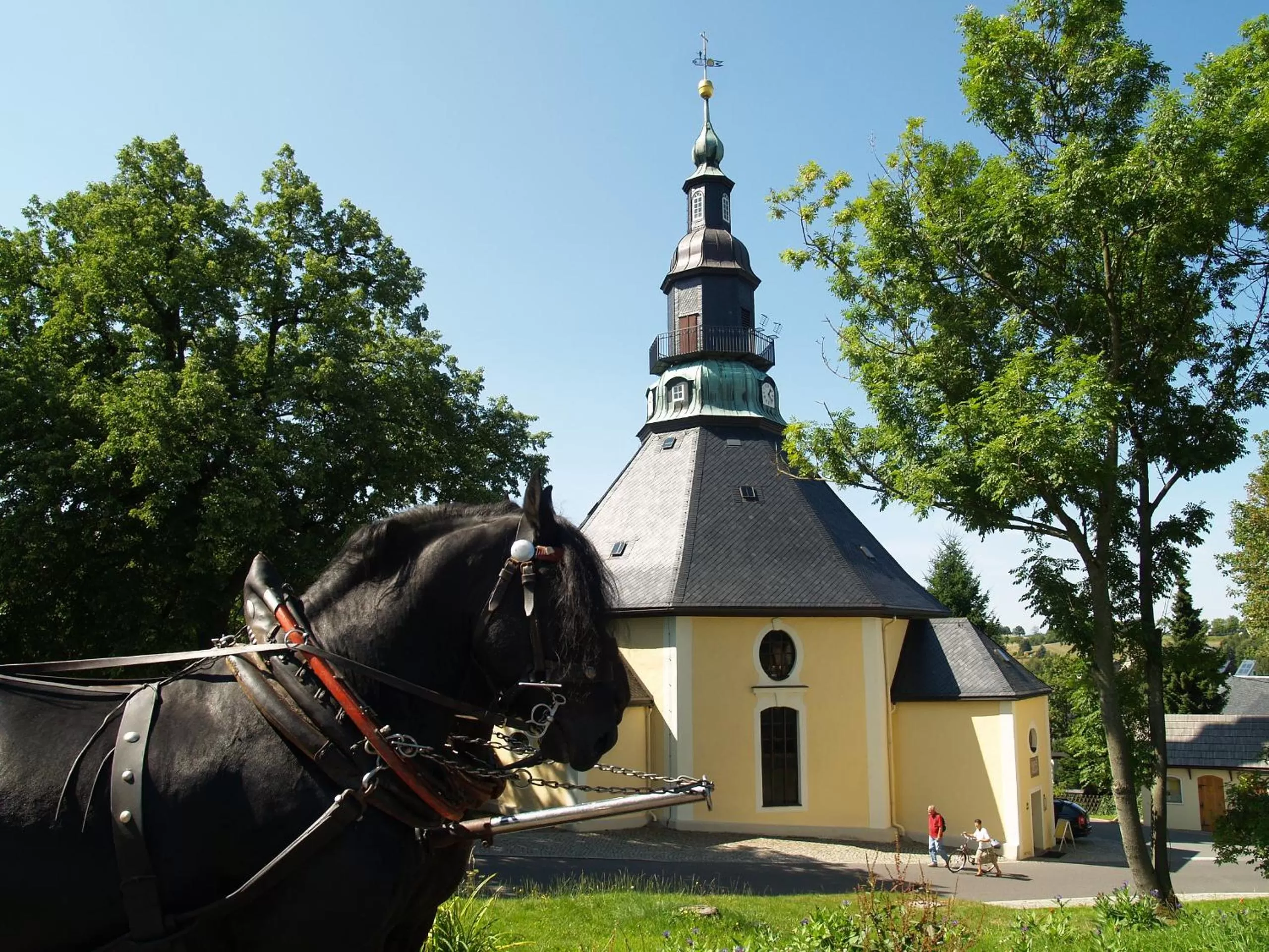 Animals in Waldgasthof Bad Einsiedel