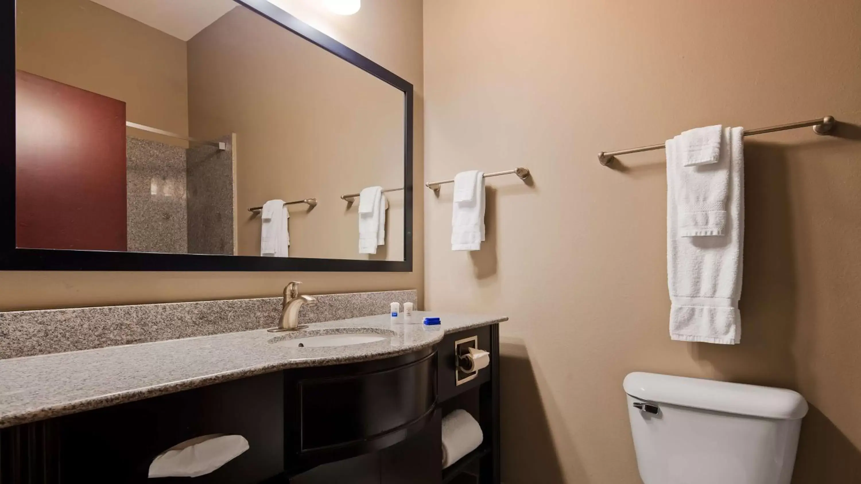 Bathroom in Best Western Abbeville Inn and Suites