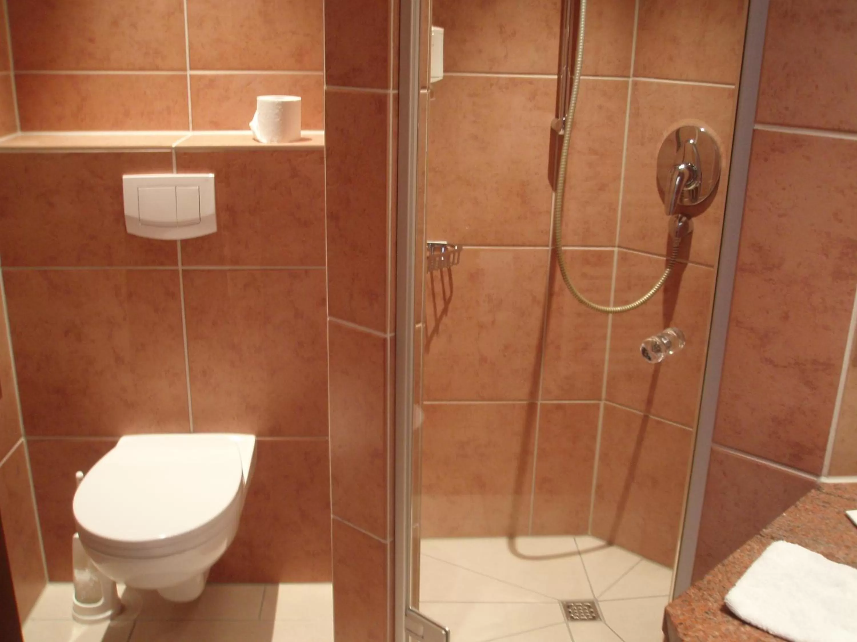 Toilet in Ringhotel Teutoburger Wald