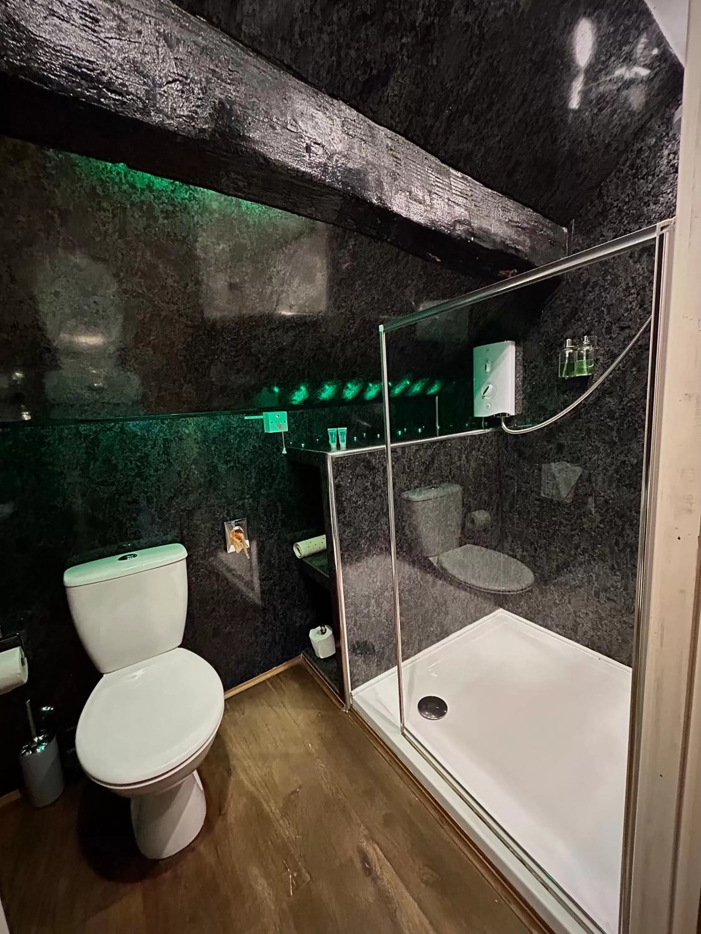 Shower in Royal Oak Appleby