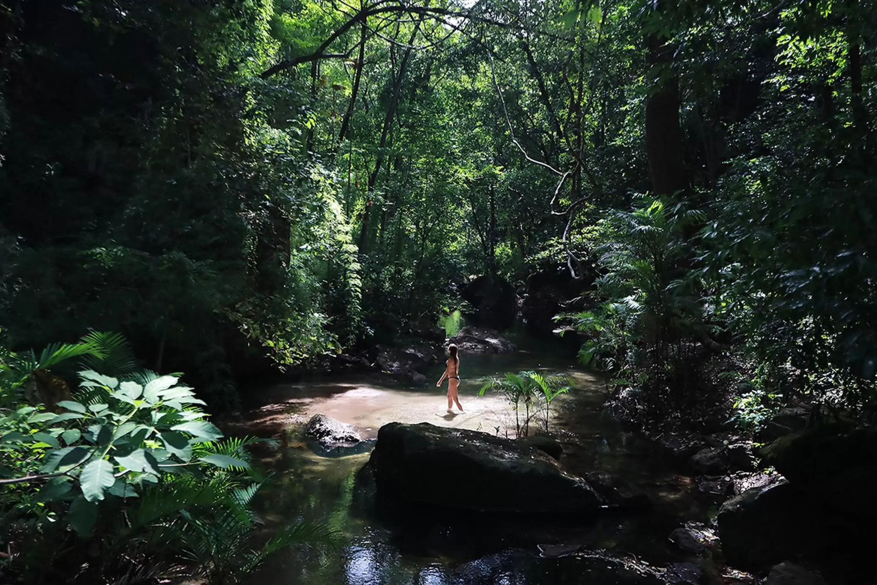 Natural landscape in Rio Perdido Hotel & Thermal River