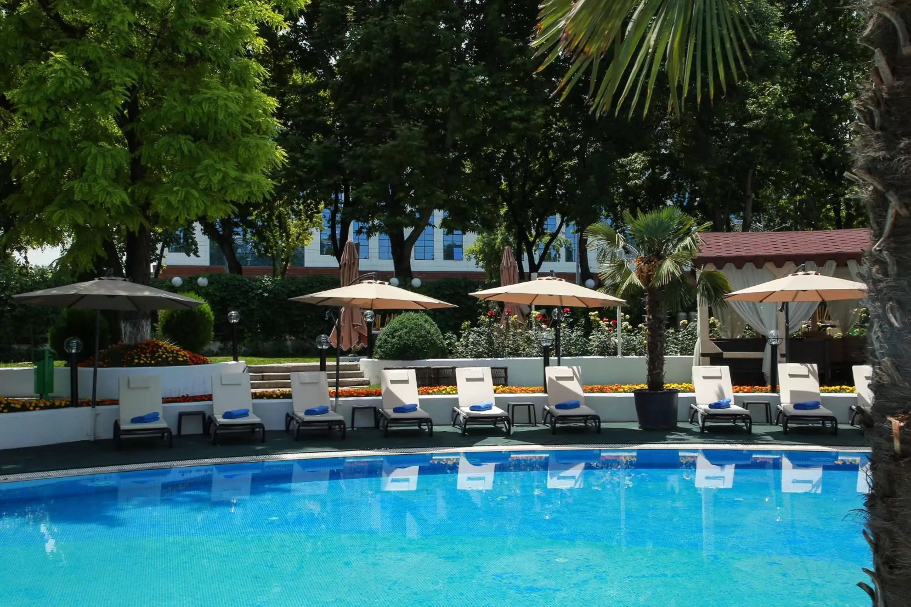 Activities, Swimming Pool in Wyndham Tashkent