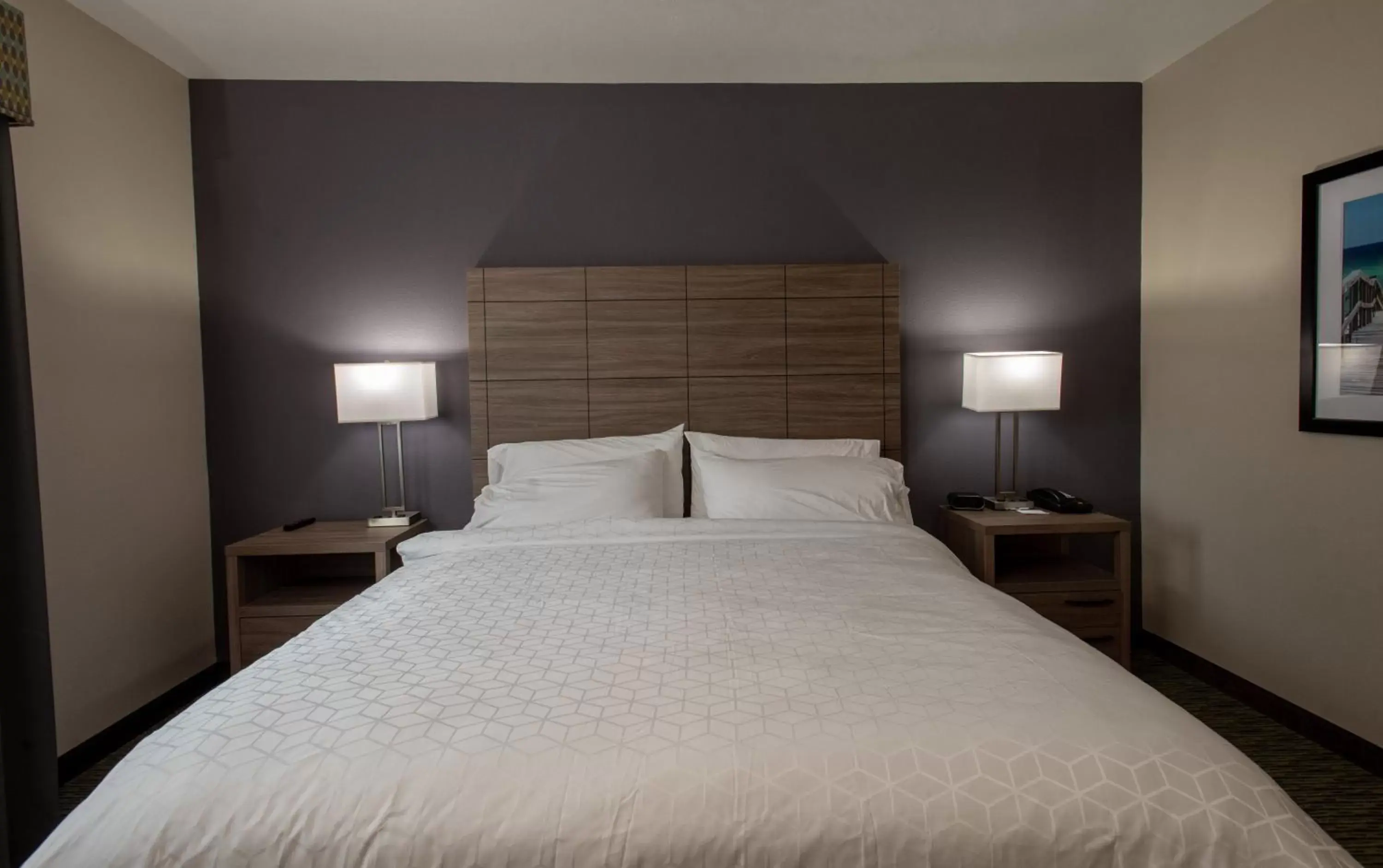 Photo of the whole room, Bed in Holiday Inn Express Hotel and Suites Port Aransas/Beach Area by IHG Photo of the whole room, Bed in Holiday Inn Express Hotel and Suites Port Aransas/Beach Area by IHG