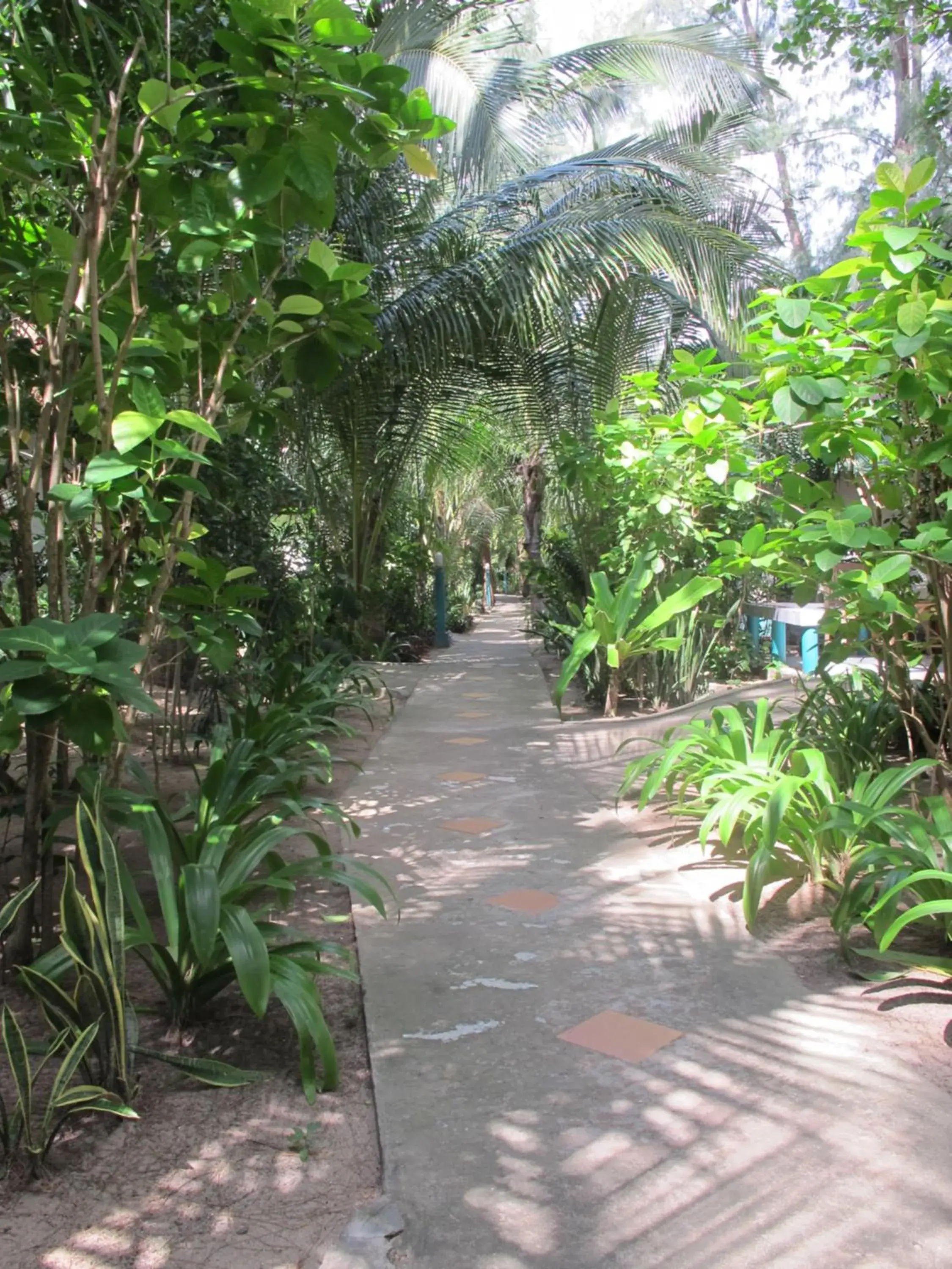 Garden in Lanta Island Resort - SHA Extra Plus